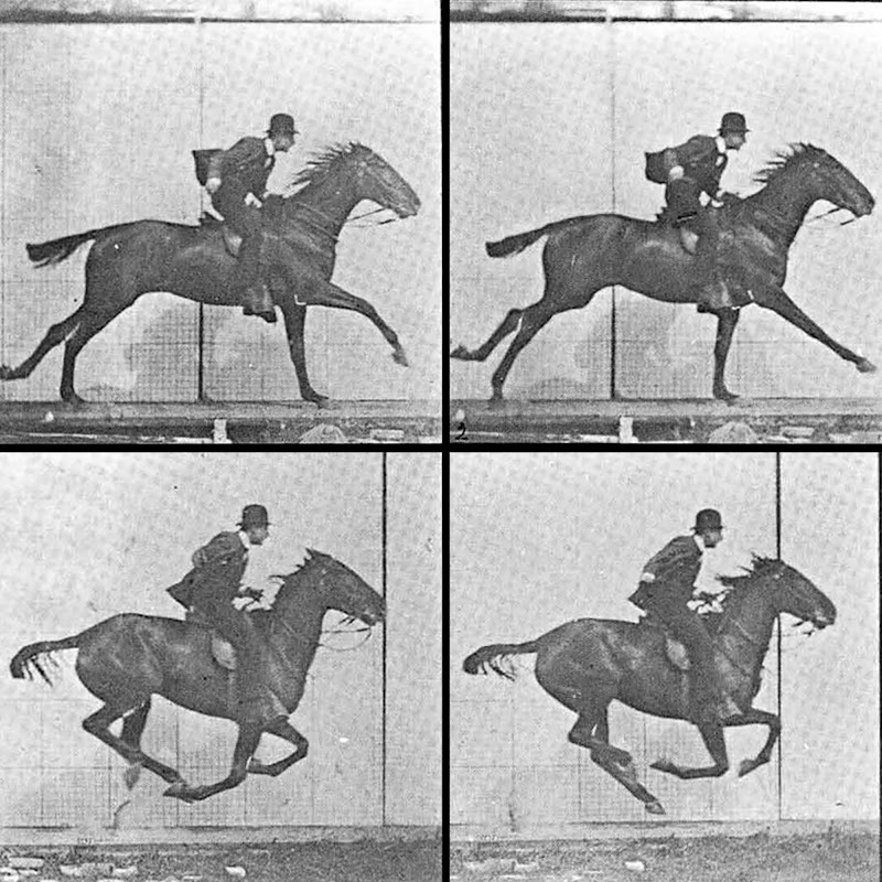 Every Frame a Painting