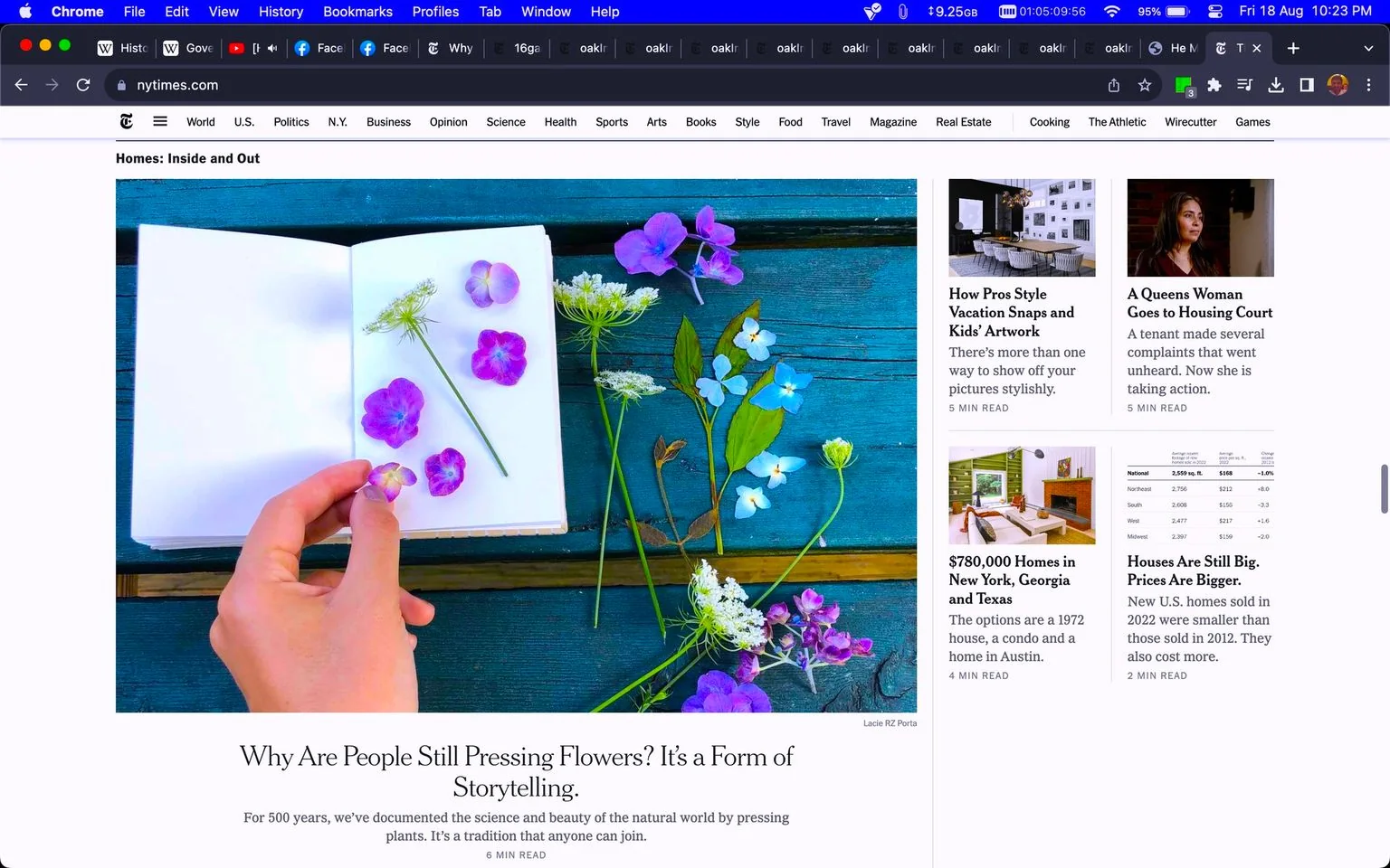 The screenshot features an article from the New York Times website, titled "Why Are People Still Pressing Flowers? It’s a Form of Storytelling." The article is part of the "Homes: Inside and Out" section. The focal image shows a collection of vibrant, pressed flowers laid out on an open notebook. A hand is delicately placing or adjusting a small flower on the page. The flowers are primarily purple, with some white and blue, scattered around on a teal wooden surface. The composition is bright and colorful, highlighting the natural beauty of the flowers against the rough texture of the wood.
The surrounding text includes headlines for other articles, such as "How Pros Style Vacation Snaps and Kids’ Artwork," "A Queens Woman Goes to Housing Court," "$780,000 Homes in New York, Georgia, and Texas," and "Houses Are Still Big. Prices Are Bigger." These provide insights into various lifestyle and real estate topics. The overall mood of the page is informative and visually engaging, catering to readers interested in home, art, and nature-related subjects.
- Title: "Why Are People Still Pressing Flowers? It’s a Form of Storytelling."
- Site / app: "nytimes.com"