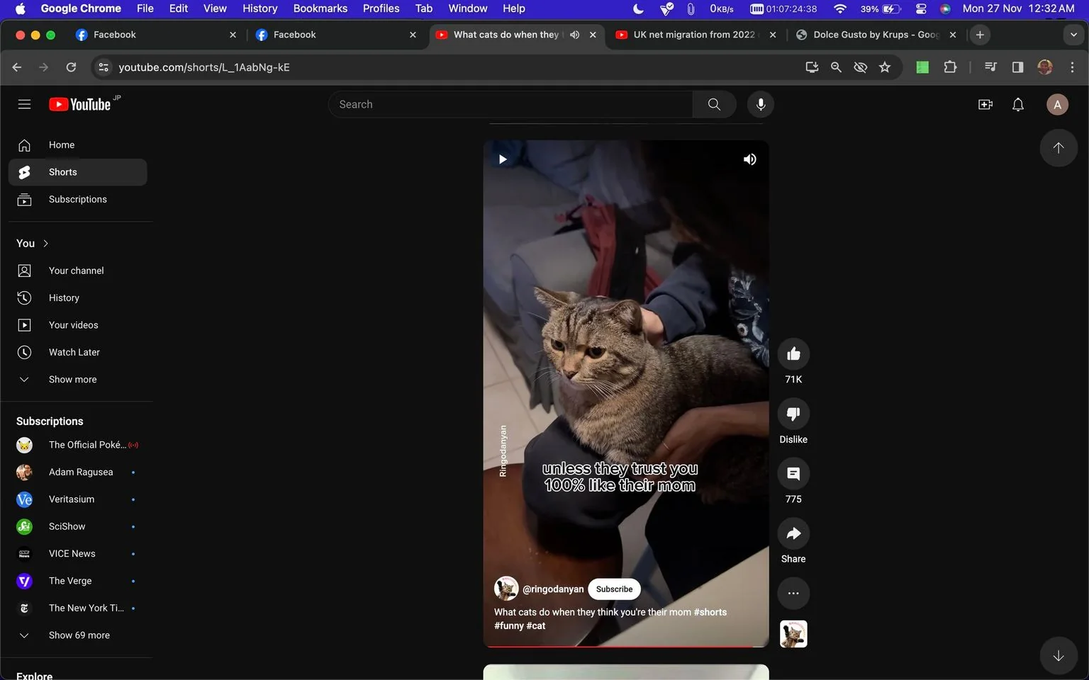 The image is a screenshot from a YouTube Shorts video on the channel "ringodanyan." The scene features a person holding a tabby cat in their lap, suggesting a cozy indoor setting. The cat appears calm and comfortable, indicating trust and familiarity with the person. The lighting is soft, complementing the relaxed atmosphere. The person is wearing a dark-colored sweater, and part of a sofa is visible in the background, adding a domestic touch. On-screen text reads, "unless they trust you 100% like their mom," which hints at the cat's trust towards the person. The video is titled, "What cats do when they think you're their mom #shorts #funny #cat," emphasizing the humorous and affectionate nature of feline and human interactions. The social media interface shows options to like, dislike, comment, and share the content.