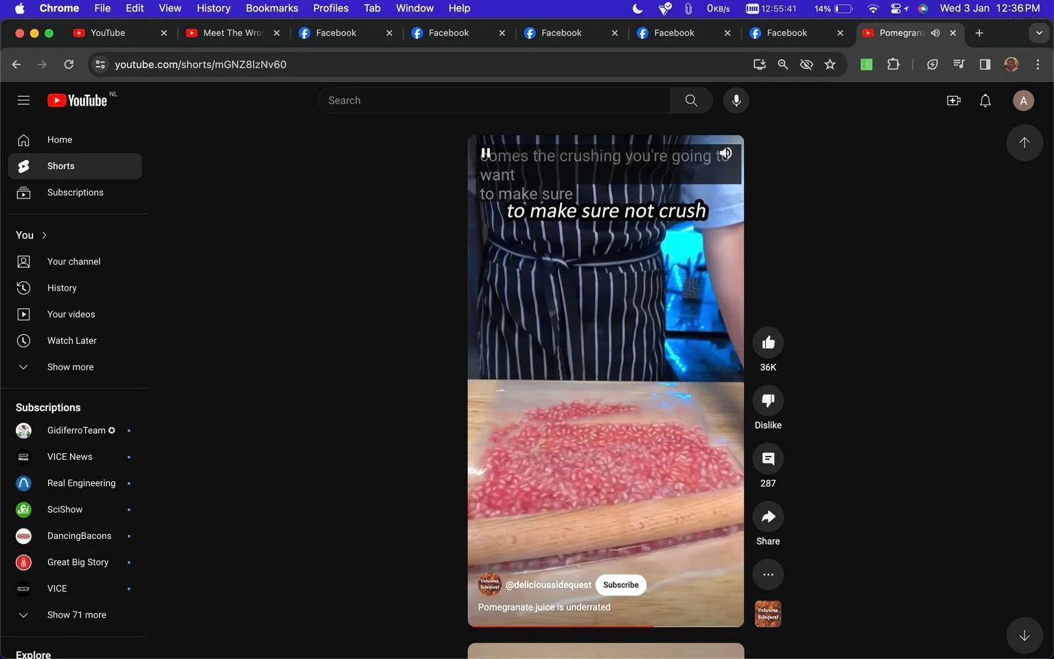 The image is a screenshot from a YouTube Shorts video by the channel "delicioussidequest." The video showcases a cooking or food preparation tutorial, specifically focusing on making pomegranate juice. In the foreground, pomegranate seeds are placed on a wooden surface, and a rolling pin is visible, suggesting a method of crushing or pressing the seeds. The person in the video is wearing a striped apron, indicating a kitchen or cooking environment. The lighting is bright, highlighting the vibrant red color of the pomegranate seeds. The text overlay reads, "to make sure not crush," which likely refers to a technique being explained in the video. The description below the video states, "Pomegranate juice is underrated," emphasizing the theme of the video. On the right, interaction options such as like, dislike, comment, and share are visible, indicating typical social media engagement features.