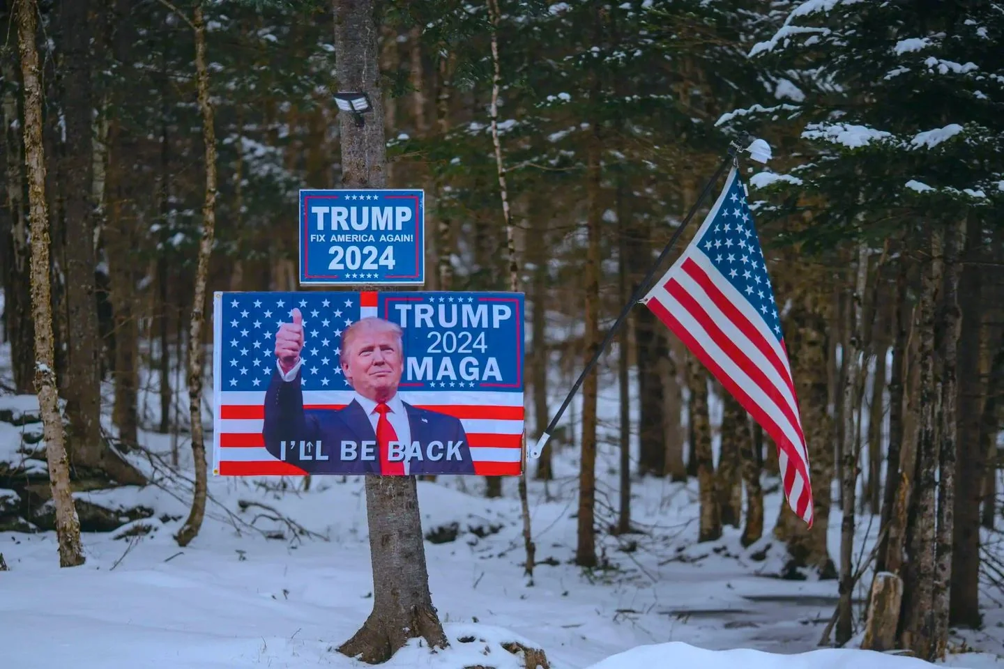 The image depicts a snowy outdoor scene in a forested area. Prominently featured are campaign signs attached to a tree and a nearby American flag. The signs are political in nature, advocating for Trump in the 2024 presidential election. One sign reads "TRUMP FIX AMERICA AGAIN! 2024," while a larger sign below it contains an image of Trump, the words "TRUMP 2024 MAGA," and the phrase "I'LL BE BACK." The American flag, which is mounted on a pole, is positioned to the right of the signs, adding a patriotic element to the scene.
The mood is one of political advocacy, with the use of strong and bold colors like red, white, and blue, reflecting the American flag's palette. The signs' text and imagery suggest a campaign theme focused on a return and renewal. The winter setting, with snow on the ground and trees, contributes to a serene yet resolute atmosphere. The composition centers on the signs and flag, drawing the viewer's attention to the political message amidst the tranquil natural background.