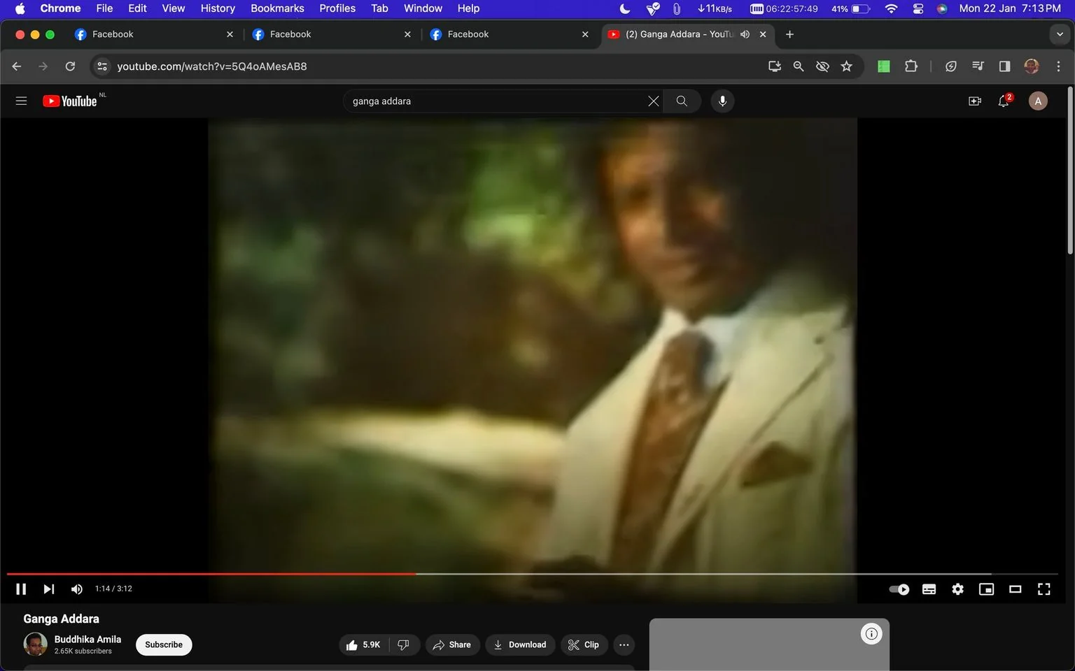The image is a screenshot from a YouTube video titled "Ganga Addara," uploaded by the channel "Buddhika Amila." The video appears to feature Vijaya Kumaratunga, as indicated by the user hint. The screenshot shows a blurred image of a person, presumably Vijaya Kumaratunga, dressed in a light-colored suit with a brown patterned tie and pocket square. The person is standing outdoors, with a green and brown natural background that suggests a garden or park setting. The lighting appears soft, giving the image a nostalgic and vintage feel. The screenshot captures a moment at 1:14 into the video, with a total duration of 3:12. The interface displays typical YouTube elements such as the like, share, and download buttons, indicating user engagement with 5.9K likes. The overall mood of the scene is warm and relaxed, consistent with the attire and outdoor setting.
