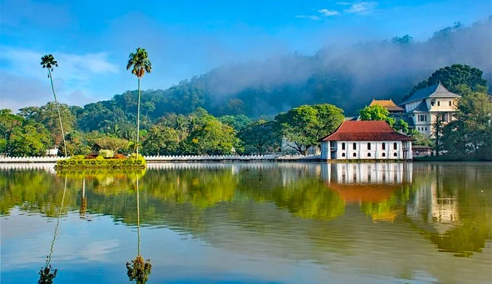 The image depicts a serene landscape featuring a large lake with calm waters reflecting the surrounding scenery. In the foreground, two tall palm trees rise from a small patch of greenery in the lake, casting their reflections onto the water's surface. The background showcases lush green trees and hills partially shrouded in mist, creating a tranquil and picturesque setting. Prominently visible is a traditional building with a red-tiled roof adjacent to the lake, likely part of a temple complex given the architectural style. The sky is clear with a few clouds, and the lighting suggests it is daytime, with bright and vivid colors enhancing the natural beauty of the scene. The overall mood is peaceful, with a harmonious blend of natural and constructed elements.