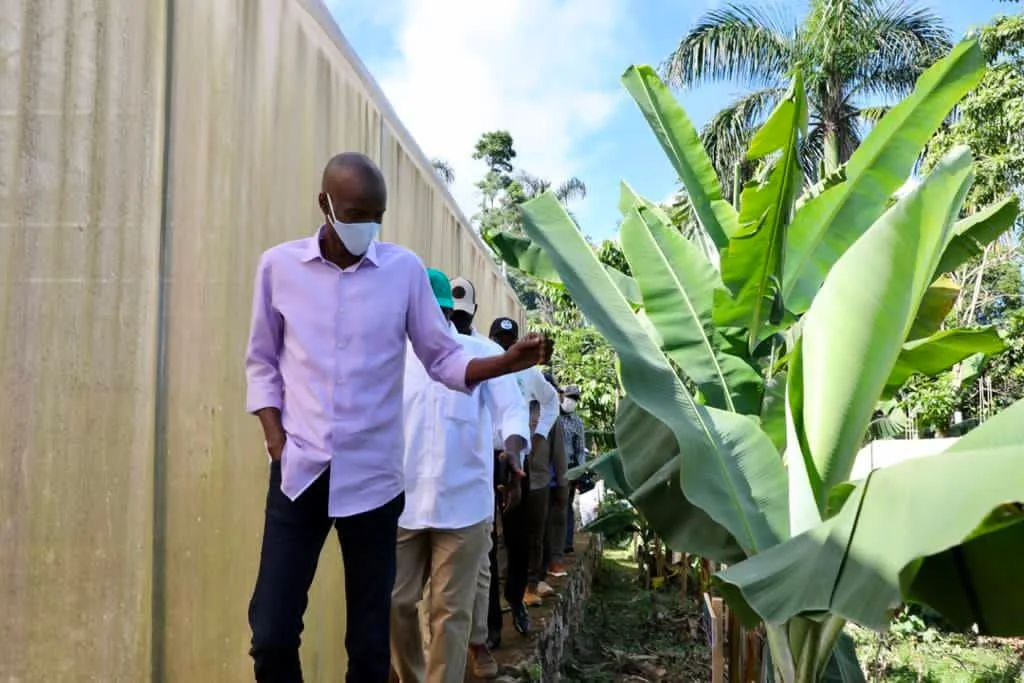 ```
Jovenel Moise is walking along a narrow path beside a garden, bordered by a tall wall on one side and lush green banana plants on the other. He is wearing a light purple shirt and dark pants, and he is also wearing a white face mask, suggesting an awareness of health precautions. A few other individuals, also in masks, follow him, dressed in casual attire, indicating a group tour or inspection. The scene is set outdoors during the day, with sunlight illuminating the greenery and casting shadows on the pathway. The mood appears calm and focused, as Jovenel Moise leads the group along the path. The presence of tropical plants and the bright, clear sky suggest a warm climate. The image captures a moment of engagement with the environment, possibly related to agricultural or community development activities.