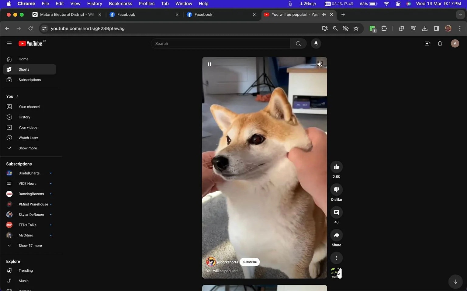 This image is a screenshot from YouTube, displaying a video featuring a Shiba Inu dog being gently squished on the cheeks by a person. The dog is sitting indoors, possibly in a living room, with soft natural light illuminating its fur. The background shows a part of a room with a piece of furniture and an object that looks like a box, adding a casual and homely atmosphere. The video appears on a YouTube Shorts page, and the channel name, "@borkshorts", is visible at the bottom-left corner along with the text "You will be popular!". The interface shows engagement options such as like and dislike buttons, a comment count of 40, and a share option, indicating viewer interaction. The overall mood of the scene is light and playful, capturing a moment of affectionate interaction between the person and the dog. The image is set against YouTube's dark mode interface, emphasizing the video content.
- Channel / profile: "@borkshorts"
- Site / app: "YouTube"
- Captions / subtitles: "You will be popular!"