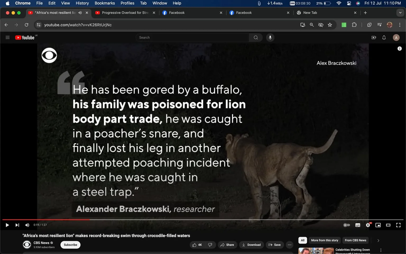 The image is a frame from a YouTube video titled "Africa's most resilient lion makes record-breaking swim through crocodile-filled waters," hosted on the CBS News channel. The video highlights a lion's incredible survival story. On the screen, a lion is seen in the foreground walking at night. The surroundings are dark, indicating a nocturnal setting, and the lion appears to be in a natural habitat.
Overlaying the image is a block of text quoting Alexander Braczkowski, a researcher, describing the lion's harrowing experiences. It mentions the lion being gored by a buffalo, the poisoning of its family for trade, being caught in a poacher's snare, and losing a leg in a poaching incident involving a steel trap. The text is placed on the left, using white font for high contrast against the dark background. The CBS News logo is visible in the top left corner of the image.
