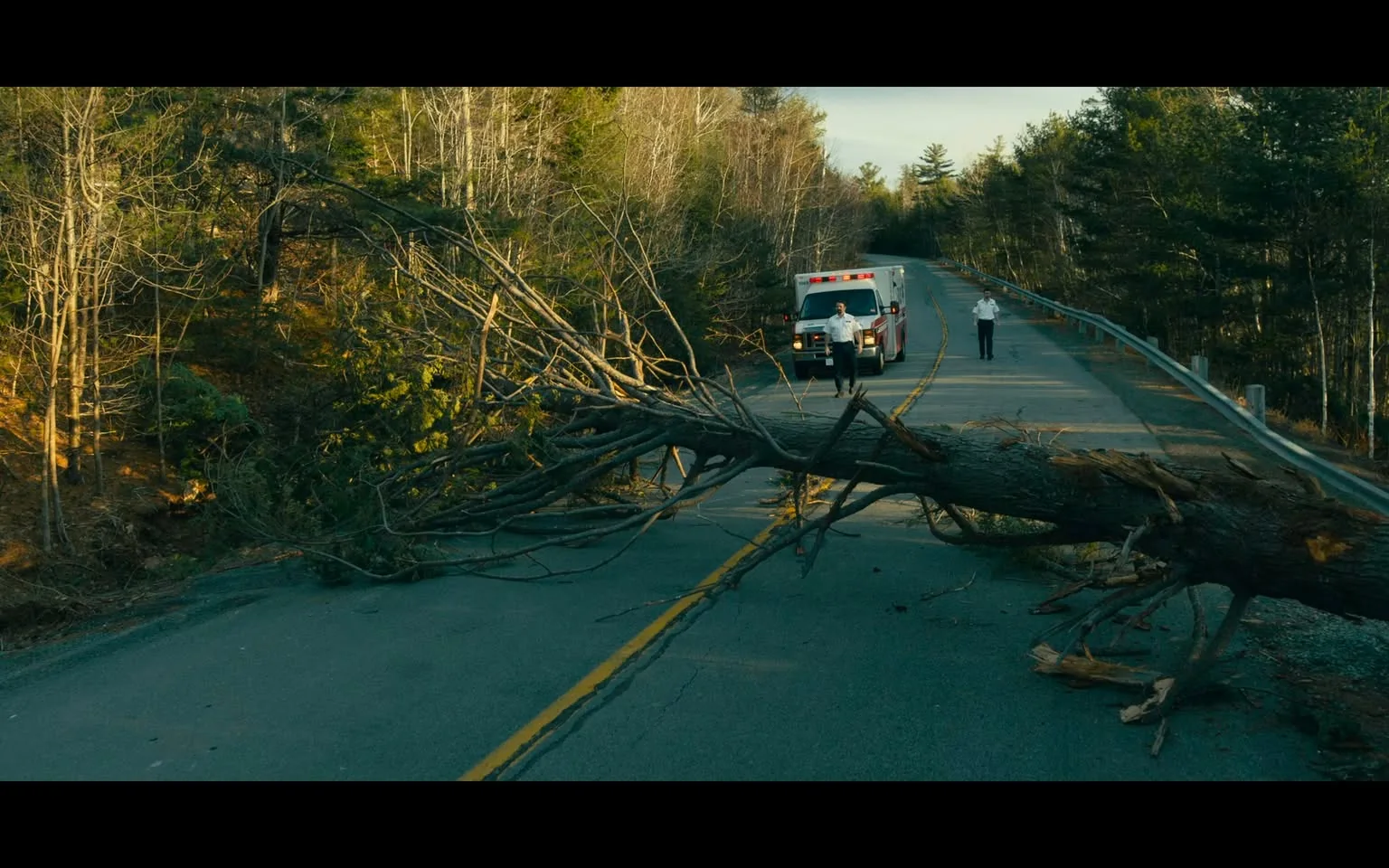 The image is from the TV show "From," produced by MGM. It depicts a rural road scene with a blocked path due to a fallen tree. The scene is set outdoors in a wooded area during the day, with dense trees on either side of the road. An ambulance is visible, parked on the road behind the fallen tree, suggesting an emergency response to the situation. Two individuals, likely emergency personnel, are seen near the ambulance, wearing uniforms. One is walking towards the camera, while the other stands near the vehicle. The lighting is natural, with shadows indicating sunlight filtering through the trees. The composition captures a sense of urgency and obstruction, with the tree spanning across both lanes of the road, preventing passage. The setting is serene yet tense, emphasizing the isolation and challenge of navigating such environments in emergencies.