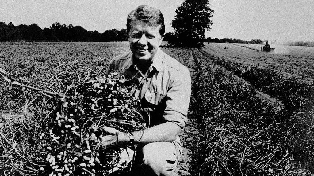 President Jimmy Carter is depicted in this black-and-white photograph, standing in an expansive field. He is holding a large cluster of peanut plants, a reference to his background in farming before his presidency. The setting is a rural landscape with rows of crops extending into the distance, underlining the agricultural theme. A tractor is visible farther back, emphasizing the scene's connection to farming activities.

Carter is dressed in casual work attire, typical of someone engaged in farm work. His expression is approachable and friendly, conveying a sense of pride and connection to the land. The lighting suggests a bright, sunny day, casting clear shadows and highlighting the texture of the plants and Carter's clothing. The overall composition centers Carter in the foreground, with the extensive field and lone tree adding depth to the background. The image captures a moment that reflects Carter's roots and personal history, lending an authentic and relatable aspect to his public persona.