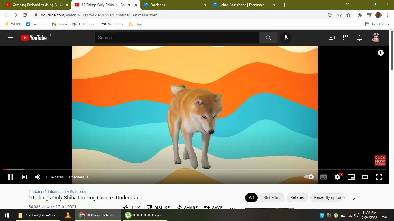 The image is a screenshot from a YouTube video titled "10 Things Only Shiba Inu Dog Owners Understand," uploaded by the channel Animal Insider. The scene features a Shiba Inu dog positioned against a vibrant, colorful background consisting of wavy bands in shades of orange, yellow, and blue, creating a playful and engaging visual. The Shiba Inu, a breed known for its distinct appearance and spirited nature, stands in a slightly hunched posture, looking downward with an introspective expression. The colors in the background are bright and cheerful, contributing to a lively and upbeat atmosphere. The video has garnered over 54,000 views, and the interface includes typical YouTube features such as like, dislike, share, and subscribe buttons. The image reflects a theme centered on understanding the unique traits and behaviors of Shiba Inu dogs, appealing to both current and prospective dog owners.