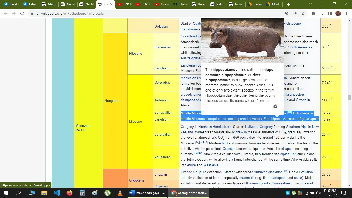 The screenshot captures a section from the Wikipedia page titled "Geologic time scale." The image displays a color-coded table detailing different geological periods and epochs, specifically focusing on the Neogene period of the Cenozoic era. The table's highlighted portion is the Miocene epoch, with a specific emphasis on the Langhian stage, which notes the "Middle Miocene disruption, decreasing shark diversity. First hippos. Ancestor of great apes." This information is presented in a structured format with yellow and blue columns indicating different time periods.
A pop-up window overlaps the table, featuring an image and text about the hippopotamus, described as a large semiaquatic mammal native to sub-Saharan Africa. The image shows a hippo standing in water, adding a visual element to the informational text. The screenshot is taken from a desktop view, as indicated by the visible tabs and taskbar at the top and bottom of the screen.
- Title: "Geologic time scale - Wikipedia"
- Site / app: "Wikipedia"