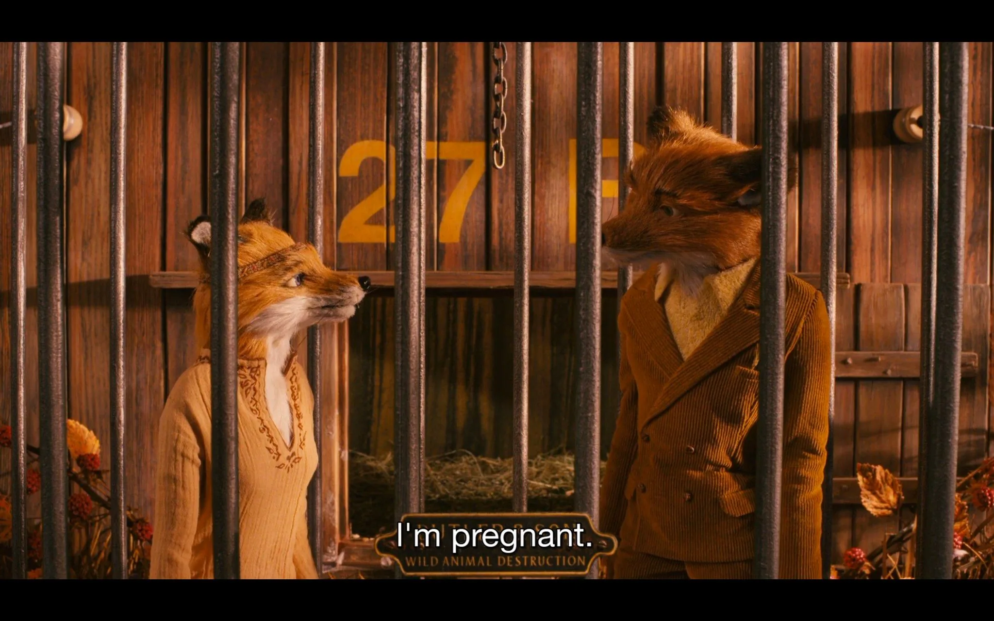 The image is a frame from the animated film "Fantastic Mr. Fox," featuring characters designed as anthropomorphic foxes. The scene shows two foxes standing inside a cage, with one delivering the line, "I'm pregnant." The female fox is dressed in a light-colored, intricately designed blouse, while the male fox, hinted as fantastic fox with George Clooney, wears a brown corduroy suit. The cage bars dominate the foreground, creating a sense of confinement. Behind the characters, the wooden walls of the cage display the number "27" and the label "WILD ANIMAL DESTRUCTION" is visible at the bottom of the screen. The lighting is warm, enhancing the earthy tones of the foxes' fur and attire. The overall mood is intimate and slightly tense, as the significant announcement is made in the confined setting.