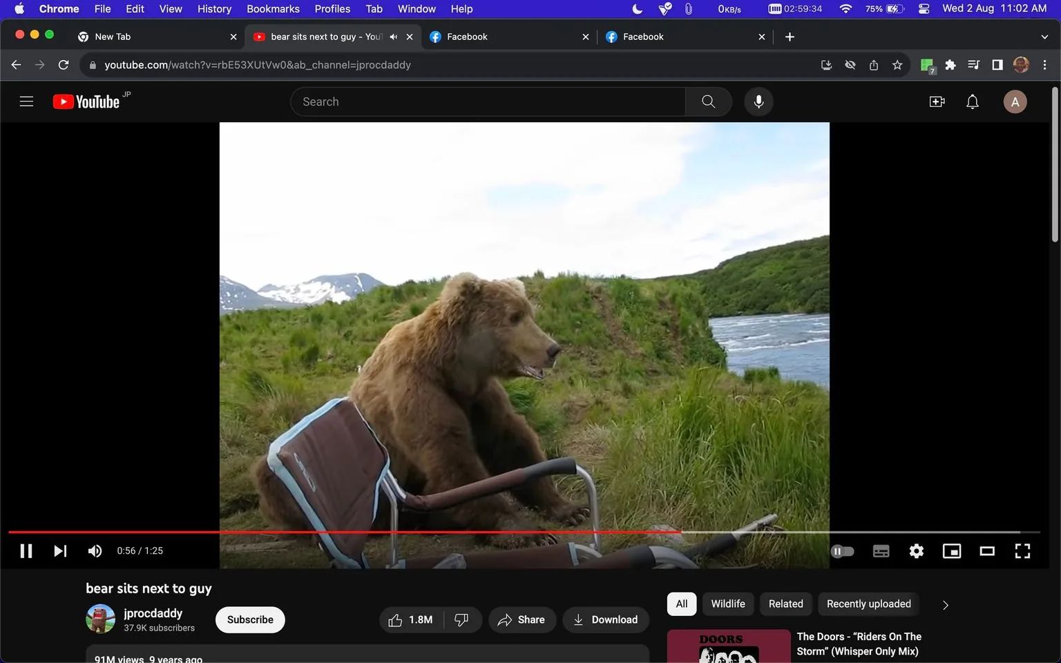 The image is a screenshot from YouTube displaying a video titled "bear sits next to guy," uploaded by the channel jprocdaddy. The video has garnered significant attention with 91 million views. The scene features a large bear sitting on the grass next to a folding chair, facing a river in a lush outdoor setting. The backdrop includes green hills and a river, with snow-capped mountains visible in the distance under a partly cloudy sky. The bear is positioned in profile, appearing relaxed and at ease in its natural environment. The video interface shows the title and channel name prominently at the bottom, along with engagement metrics like views and upload time. Below the video title, the sidebar suggests related content, including a mention of "Riders On The Storm" by The Doors, indicating an association with the video. The overall mood is serene, capturing a rare and harmonious moment of interaction between wildlife and humans.