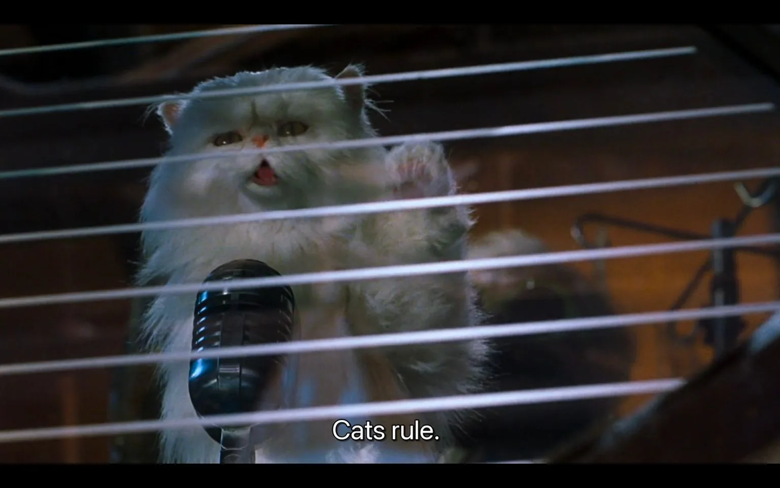 In this scene from the film "Cats & Dogs," a white fluffy cat is prominently featured behind bars. The cat has an expressive face, appearing to be speaking into a vintage-style microphone. The lighting is dim but focused on the cat, highlighting its fur and intense expression. The setting inside appears to be a dimly lit room, possibly indicating a secretive or intimate setting. The cat is making a gesture with its paw, adding to the impression that it is delivering an important or impactful message. The subtitle at the bottom reads, "Cats rule," suggesting the cat is asserting dominance or superiority in a humorous context. The composition centers the cat, making it the focal point of the scene, and the horizontal bars in front add a sense of confinement or emphasis on the setting.