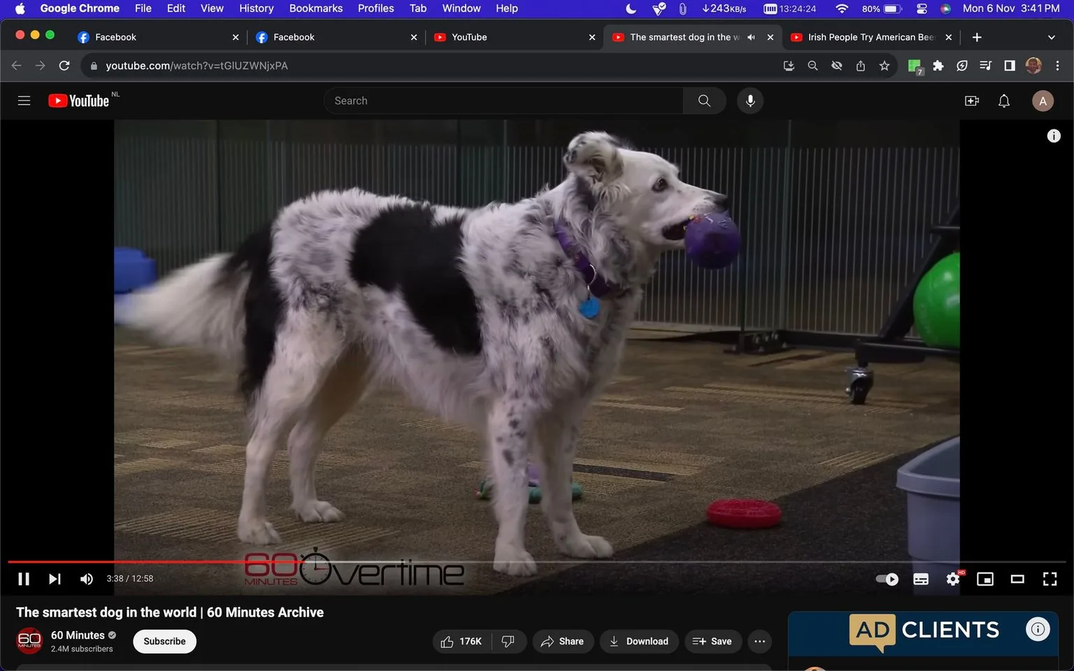 The screenshot captures a frame from a YouTube video titled "The smartest dog in the world | 60 Minutes Archive," uploaded by the channel "60 Minutes." The video shows a dog standing indoors, holding a purple toy in its mouth. The dog has a white coat with black patches and appears alert and focused. The setting includes a carpeted floor, with scattered toys visible in the background, suggesting a playful or training environment. The video is paused at 3:38 out of a total of 12:58 minutes. The interface displays typical YouTube elements, such as the play button, video progress bar, and viewer interaction options like "Share" and "Download." In the lower-left corner, the "60 Minutes Overtime" logo is visible, indicating the source of the video content. The environment appears well-lit, contributing to the clarity of the scene.