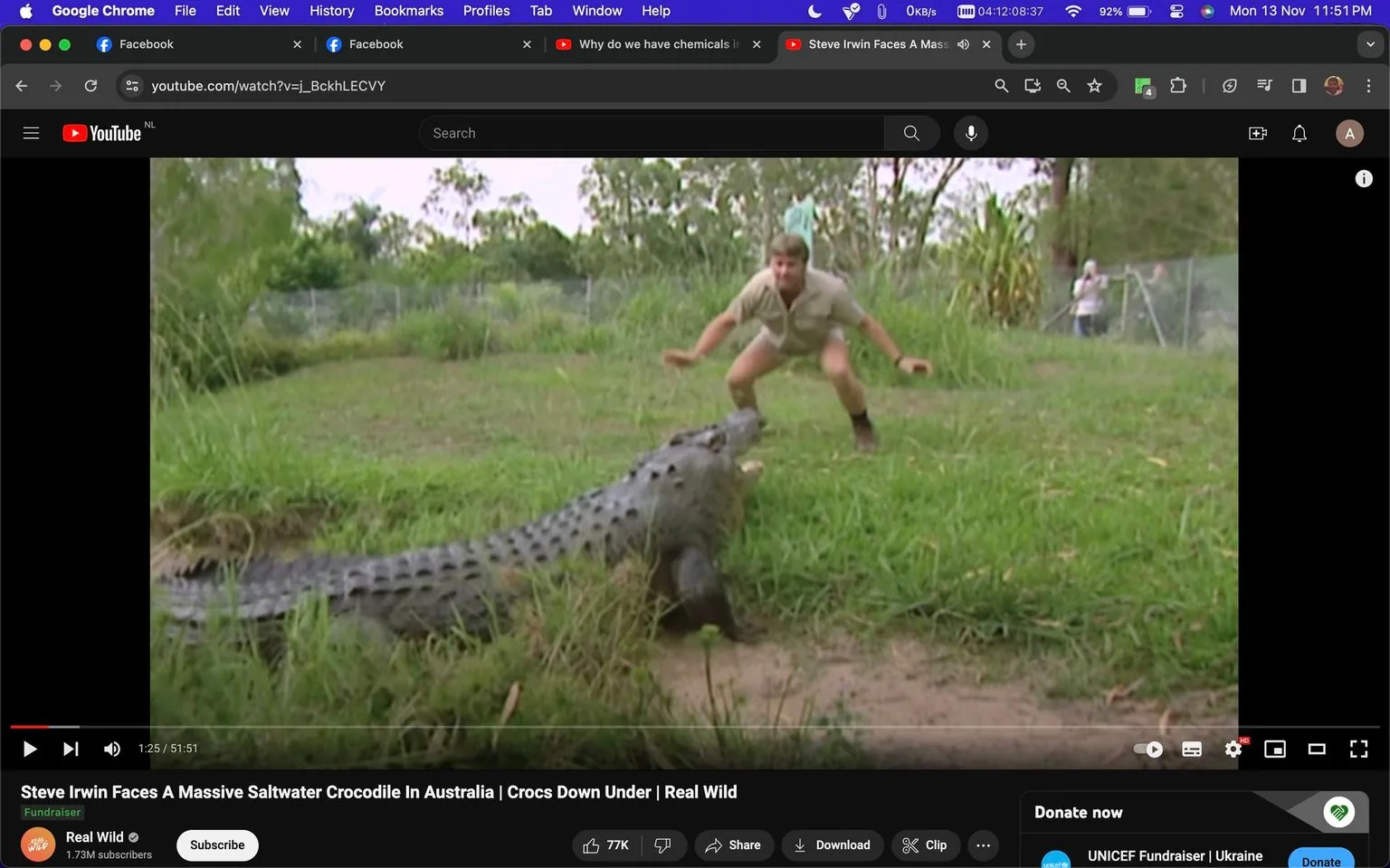 Steve Irwin is seen in an outdoor setting, crouching and engaging with a massive saltwater crocodile. The scene is part of a video titled "Steve Irwin Faces A Massive Saltwater Crocodile In Australia | Crocs Down Under | Real Wild," available on YouTube. Irwin, known for his khaki outfit, appears focused and cautious, displaying his characteristic enthusiasm for wildlife. The crocodile is positioned in the foreground with its mouth open, showcasing its impressive size and strength. The background reveals lush greenery, typical of the Australian wilderness, adding to the natural and adventurous atmosphere. The video is hosted on the Real Wild channel, which is known for wildlife documentaries. The lighting is natural, highlighting the vivid greens of the grass and foliage. This moment captures Irwin's fearless interaction with dangerous wildlife, showcasing his unique approach to conservation and education.
- Title: "Steve Irwin Faces A Massive Saltwater Crocodile In Australia | Crocs Down Under | Real Wild"
- Channel / profile: "Real Wild"
- Site / app: "YouTube"