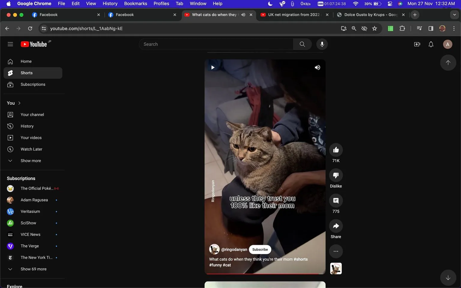 The image is a screenshot from a YouTube Shorts video on the channel "ringodanyan." The scene features a person holding a tabby cat in their lap, suggesting a cozy indoor setting. The cat appears calm and comfortable, indicating trust and familiarity with the person. The lighting is soft, complementing the relaxed atmosphere. The person is wearing a dark-colored sweater, and part of a sofa is visible in the background, adding a domestic touch. On-screen text reads, "unless they trust you 100% like their mom," which hints at the cat's trust towards the person. The video is titled, "What cats do when they think you're their mom #shorts #funny #cat," emphasizing the humorous and affectionate nature of feline and human interactions. The social media interface shows options to like, dislike, comment, and share the content.