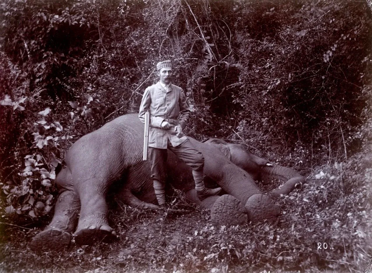 Archduke Franz Ferdinand is depicted in this historical photograph, illustrating a moment from his life. He stands confidently next to a fallen elephant in a dense, leafy outdoor setting. The archduke is dressed in a military-style uniform, complete with a patterned hat, which reflects the formal attire of his era. He is holding a rifle, indicating that this image captures a hunting expedition. The elephant lies on the ground, surrounded by thick vegetation, emphasizing the wild setting. The photograph is monochrome, typical of the early 20th century, adding to its historical ambiance. The composition places the archduke as the central figure, with his posture suggesting a sense of pride or achievement. The number "20" is visible at the bottom right, possibly a reference to the photograph's sequence or collection.
