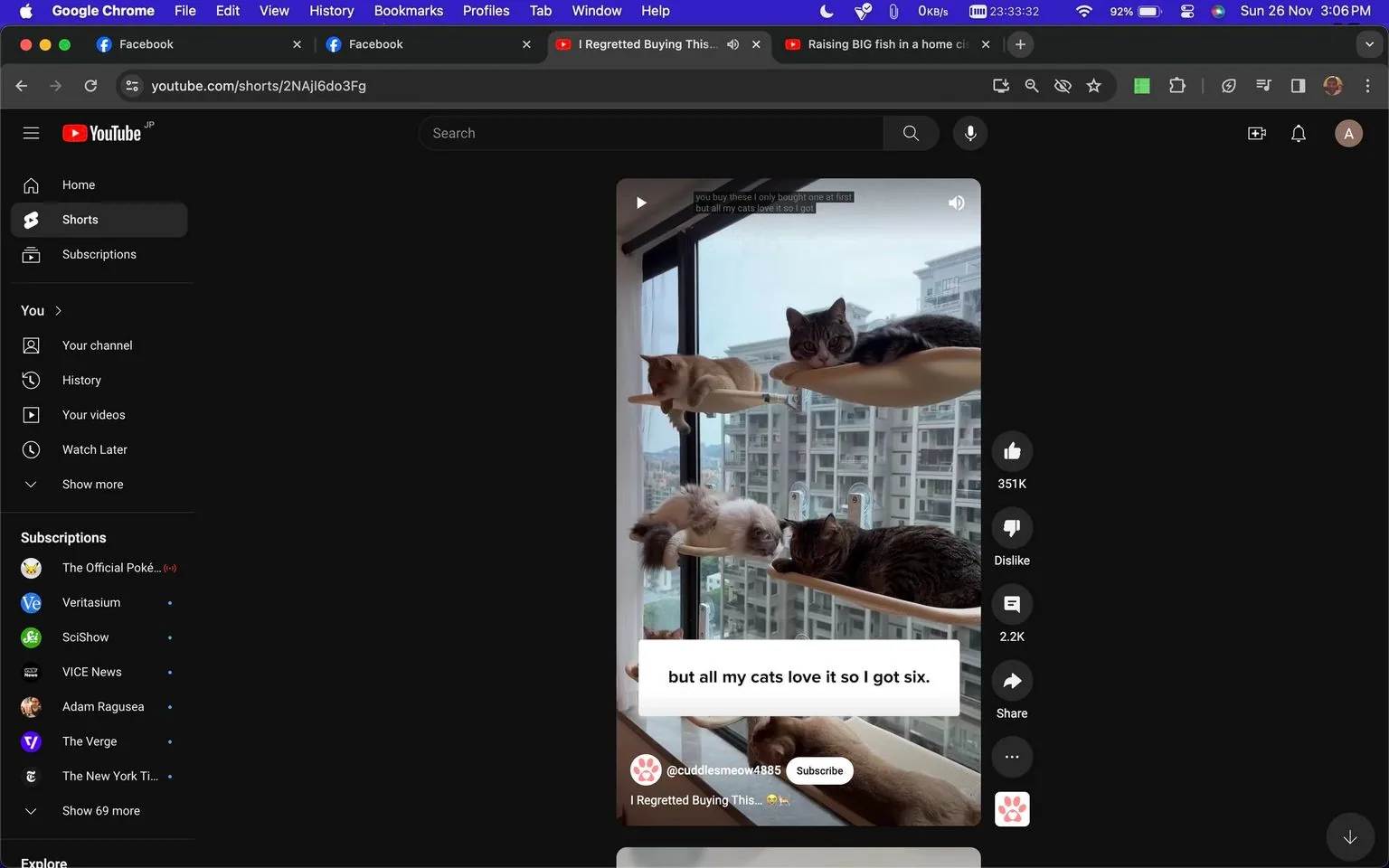 The screenshot shows a YouTube Shorts video on the channel "cuddlesmeow4885." The video features multiple cats lounging on a multi-level cat perch by a large window, through which an urban cityscape with tall buildings is visible in the background. The cats appear relaxed, with some lying down and others sitting upright on the perch. The lighting is bright and natural, suggesting it's daytime. The text overlay in the video reads, "but all my cats love it so I got six," humorously indicating the owner bought multiple perches for their cats. The video has a high level of engagement, with 351K likes visible. The interface shows typical YouTube navigation elements, including the search bar and subscription list, with other channels like "The Official Poké..." and "Veritasium" noted in the subscriptions panel.
