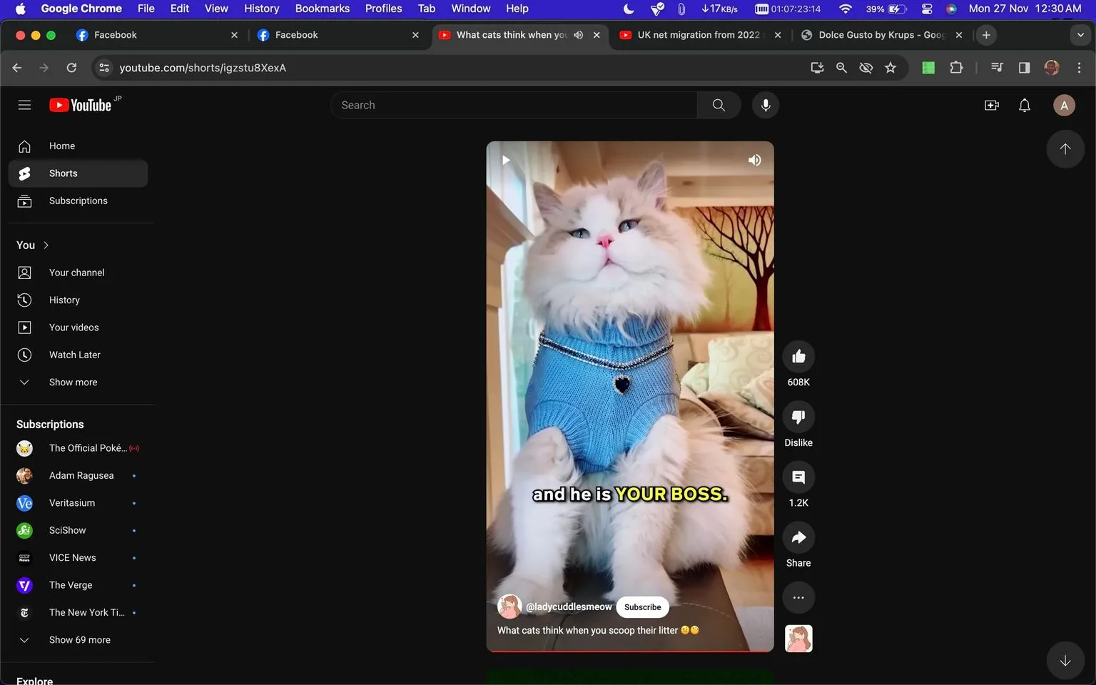 The image is a screenshot from YouTube featuring a video titled "What cats think when you scoop their litter" by the channel @ladycuddlesmeow. The video shows a fluffy cat wearing a blue sweater adorned with a black heart-shaped pendant and small chains. The cat is positioned indoors, sitting upright with a composed and somewhat regal expression, reinforcing the humorous subtitle, "and he is YOUR BOSS." The background includes a tree painting and a soft couch with patterned cushions, contributing to a cozy domestic setting. The screenshot captures a moment of lighthearted humor, referencing the often amusing and authoritative demeanor cats can exhibit. The interface shows the video metrics, with significant viewer engagement indicated by 608K likes. The YouTube interface includes standard features like subscription status, video title, and options to like, dislike, or share the content. The overall tone is playful, leveraging the cat's attire and posture to entertain viewers.