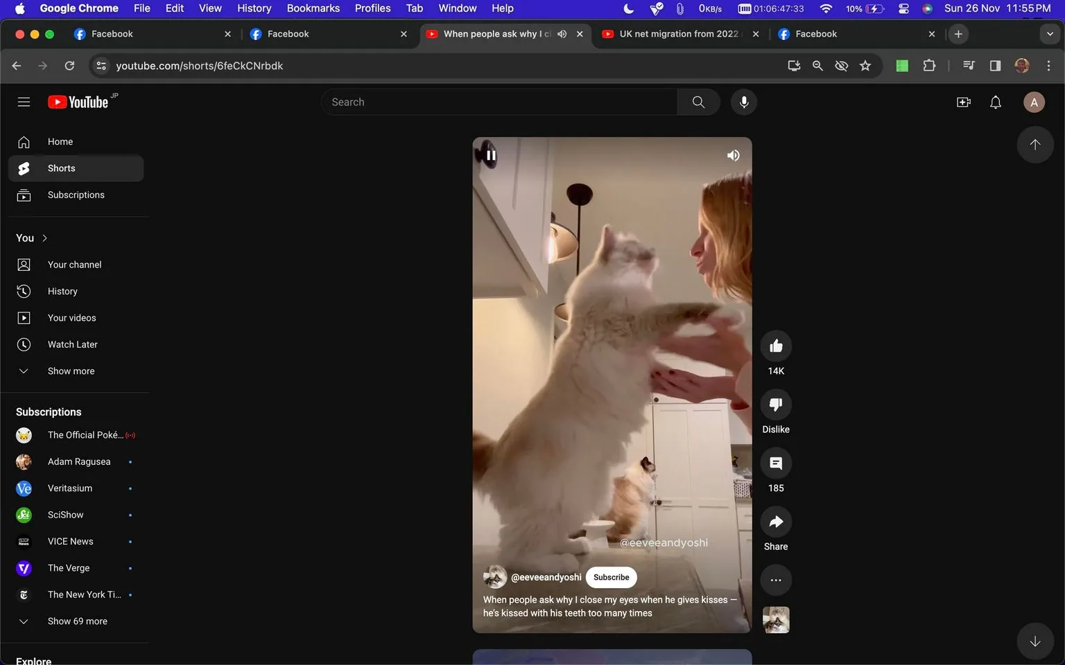 This screenshot shows a YouTube Shorts video featuring a playful interaction between a person and a cat. The setting is indoors, likely in a kitchen or living area, as suggested by the visible cabinetry and light fixtures. In the foreground, a fluffy, light-colored cat is standing on its hind legs, reaching up towards a woman who appears to be engaging with the cat affectionately. The woman has light-colored hair and is facing the cat, creating a moment that suggests warmth and playfulness.
In the background, another cat with a similar fluffy appearance is visible, sitting on furniture, adding depth to the scene. The lighting is bright and warm, enhancing the cozy and cheerful atmosphere of the interaction. The screenshot is from the @eeveeandyoshi channel on YouTube, and the caption humorously explains the reason the person closes their eyes during the interaction: "When people ask why I close my eyes when he gives kisses – he’s kissed with his teeth too many times." The on-screen text includes the channel's name, @eeveeandyoshi, highlighting the playful and loving nature of the content shared by this channel.