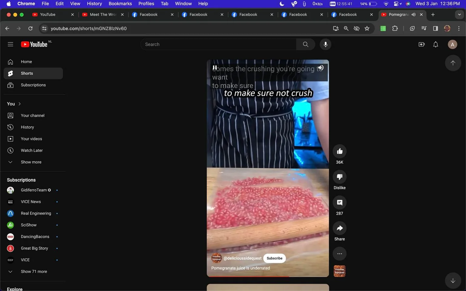 The image is a screenshot from a YouTube Shorts video by the channel "delicioussidequest." The video showcases a cooking or food preparation tutorial, specifically focusing on making pomegranate juice. In the foreground, pomegranate seeds are placed on a wooden surface, and a rolling pin is visible, suggesting a method of crushing or pressing the seeds. The person in the video is wearing a striped apron, indicating a kitchen or cooking environment. The lighting is bright, highlighting the vibrant red color of the pomegranate seeds. The text overlay reads, "to make sure not crush," which likely refers to a technique being explained in the video. The description below the video states, "Pomegranate juice is underrated," emphasizing the theme of the video. On the right, interaction options such as like, dislike, comment, and share are visible, indicating typical social media engagement features.