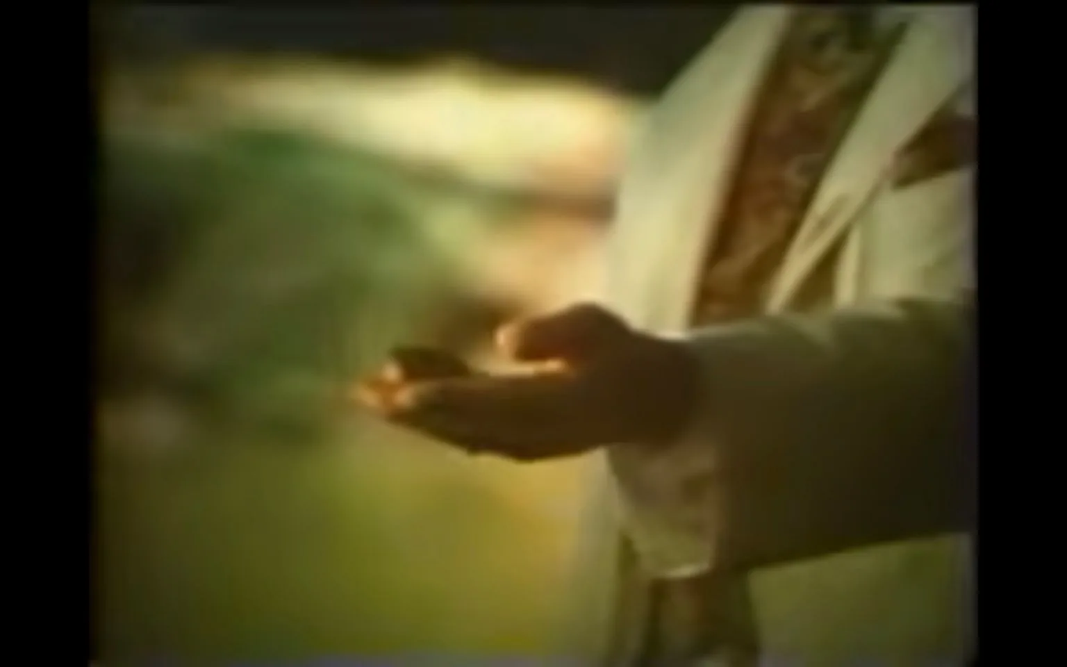 Vijaya Kumaratunga is depicted in this image, holding a small object in his hand. The setting appears to be outdoors with a soft, blurred background, suggesting a garden or park-like area. The lighting is warm and natural, creating a serene and calm atmosphere. Vijaya Kumaratunga is wearing a formal white suit, complemented by a patterned vest or tie, visible just beneath his jacket. His posture is relaxed, with one hand gently cupping the object, possibly indicating a moment of reflection or contemplation. The focus on his hand and the object contrasts with the softly focused background, drawing attention to his action. The overall tone of the image is peaceful and introspective, highlighting a quiet moment amidst a likely busy scene.