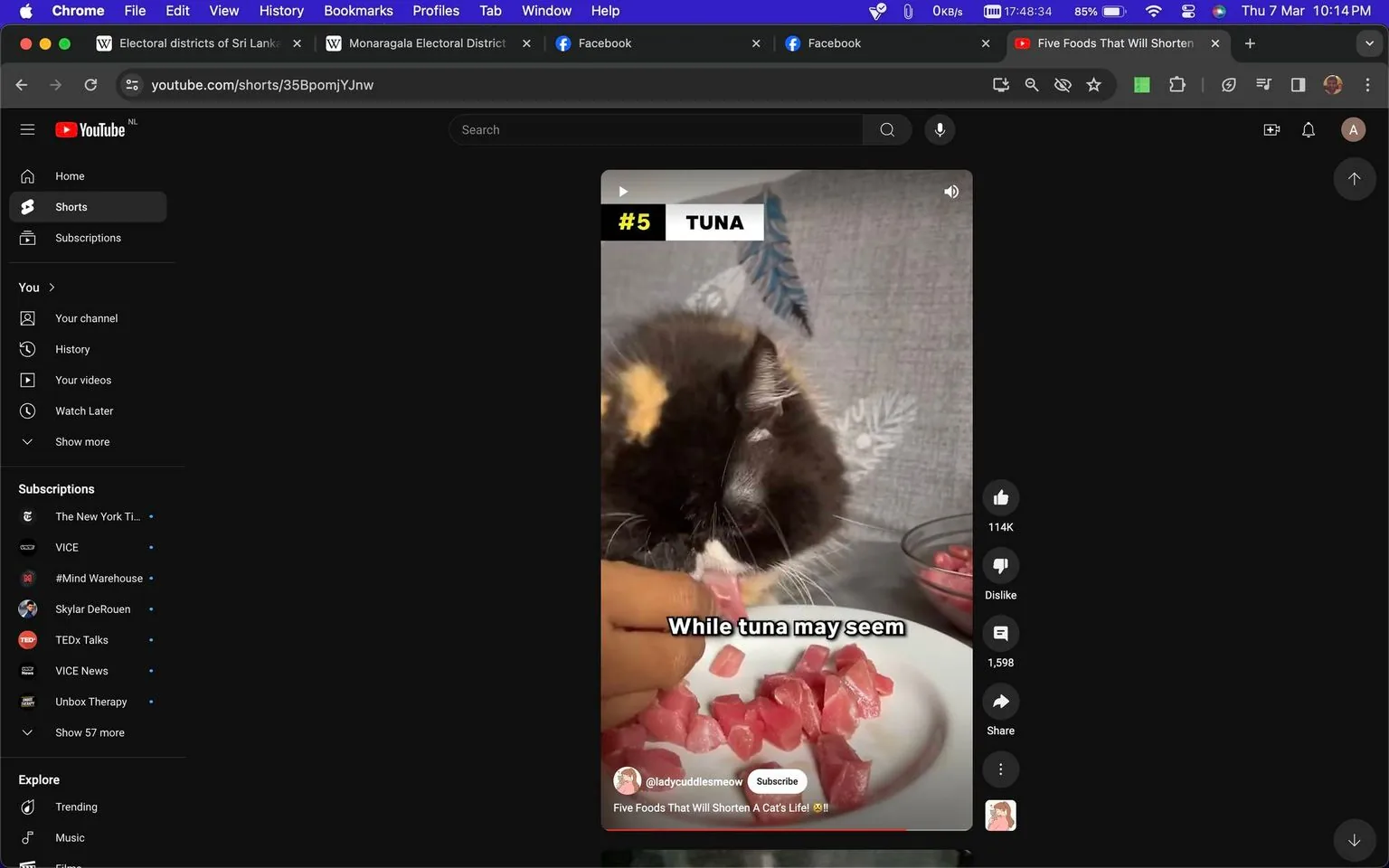 The screenshot is from YouTube, displaying a short video with the title "Five Foods That Will Shorten A Cat’s Life!" by the channel @ladycuddlesmeow. The scene shows a close-up of a cat eating pieces of tuna from a plate. The cat, with a fluffy coat featuring patches of color, is being fed by a hand holding a piece of tuna. The setting is indoors, with a soft focus on the background and a plate filled with cut tuna in the foreground. The on-screen text includes the subtitle “While tuna may seem” and a bold label reading "#5 TUNA" at the top. The video has received significant engagement with 114K likes. The overall color scheme is muted, focusing on natural colors of the food and the cat, creating a cozy and intimate atmosphere.