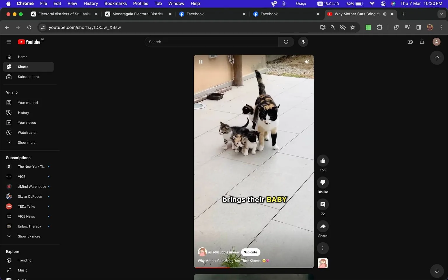The screenshot displays a YouTube Shorts video featuring a calico cat with two kittens in an outdoor setting. The mother cat stands protectively with her kittens on a tiled patio. The kittens appear curious and are closely clustered near the mother. The video on YouTube is titled "Why Mother Cats Bring You Their Kittens! 😻💖," indicating a focus on maternal behavior in cats. The channel name "@ladycuddlesmleow" suggests a focus on animal or pet content, likely centered around cats. The background shows a building wall and a small patch of grass, suggesting a garden or backyard environment. The lighting is natural, indicating daytime, and the overall mood is warm and affectionate, highlighted by the playful caption "brings their BABY" in bold, colored text on the video. The platform interface around the video includes typical YouTube elements like the like, dislike, and share buttons, as well as a list of subscriptions and a dark theme interface.