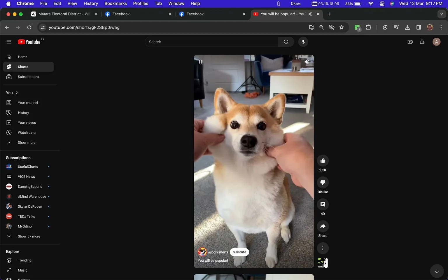 1) The image is a screenshot from YouTube showing a video under the "Shorts" section. The video captures a Shiba Inu dog sitting on a carpeted floor. The dog is being gently squished on both cheeks by a pair of hands, giving it an adorable and slightly amused expression. The setting appears to be a well-lit indoor space with a soft focus on home furniture in the background, including a desk and a chair. The lighting is bright and natural, suggesting daylight. The interface of YouTube Shorts shows interactive icons on the right side of the screen, such as like, dislike, comment, and share options. The channel name "@borkshorts" is visible, with a caption stating "You will be popular!" indicating a fun and light-hearted tone.
2) On-screen text block:
- Channel / profile: "@borkshorts"
- Site / app: "YouTube"
- Captions / subtitles: "You will be popular!"