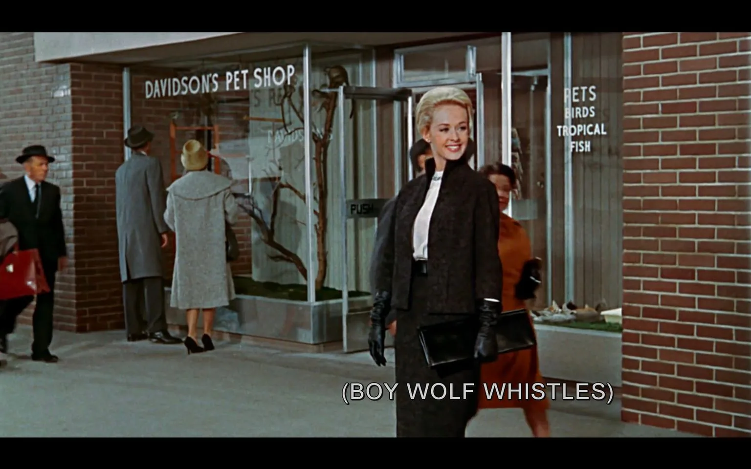 In this scene from the film "The Birds," a woman is standing in front of Davidson's Pet Shop on a street. She is dressed elegantly in a dark jacket and skirt, with a white blouse underneath. Her hair is styled in an updo, and she carries a black clutch and wears black gloves, exuding a sense of sophistication and confidence. The expression on her face is cheerful and engaging, suggesting she might be interacting or acknowledging someone. A subtitle at the bottom reads "(BOY WOLF WHISTLES)," indicating someone's admiration or attention towards her.
In the background, the pet shop features a large glass window displaying some of its offerings with the text "DAVIDSON'S PET SHOP" prominently visible, along with signs for "PETS," "BIRDS," and "TROPICAL FISH." People are seen walking past or looking into the shop windows, adding to the bustling street scene. The lighting is bright, suggesting it is daytime, and the overall mood of the scene is lively and upbeat.
- Captions / subtitles: "(BOY WOLF WHISTLES)"