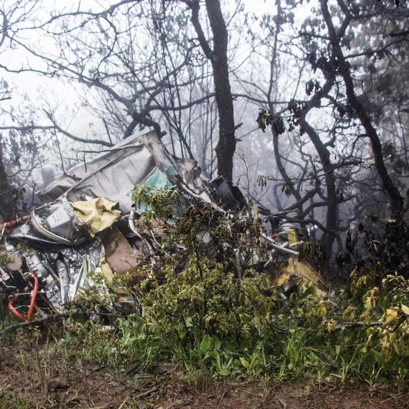 The image depicts a foggy forest scene where the wreckage of an aircraft can be seen tangled among the trees and foliage. The environment is dense with smoke or mist, adding to the somber and eerie atmosphere. The damaged aircraft parts are scattered, with twisted metal and debris partially obscured by the surrounding vegetation. Some pieces of the wreckage are identifiable by their metallic sheen and the remnants of colored paint, indicating parts of the fuselage or interior. The forest is thick with leafless trees, suggesting a desolate and possibly cold setting. The overall mood is bleak, with the mist and overcast lighting casting a muted tone over the scene. The presence of the wreckage amidst the natural setting highlights a stark contrast between human engineering and the unpredictable forces of nature.