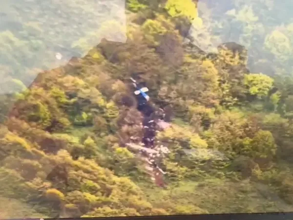 The image appears to be an aerial view of a densely forested area. In the center of the image, there is visible wreckage that seems to be part of a small aircraft or vehicle hidden among the trees. The surrounding vegetation is lush and predominantly green, suggesting a natural setting, possibly during spring or summer. The scene feels serene yet solemn, given the wreckage. The lighting is natural, with some sunlight filtering through the canopy, casting shadows and highlights across the foliage.
Overlaying this scene, there is text from a possible digital screenshot or conversation. These lines of text include statements like "I have to launch off our website soon" and "I have to get armed security," reflecting concerns related to a business or personal venture. Names mentioned include Alex Marsh, who expresses a preference for friends owning the business, and Jonathan, who wants to contribute volunteer hours. The text adds a narrative of business and personal dilemmas, contrasting with the tranquility of the forested image. The combination of natural imagery and the overlay text suggests a juxtaposition between nature and human concerns.