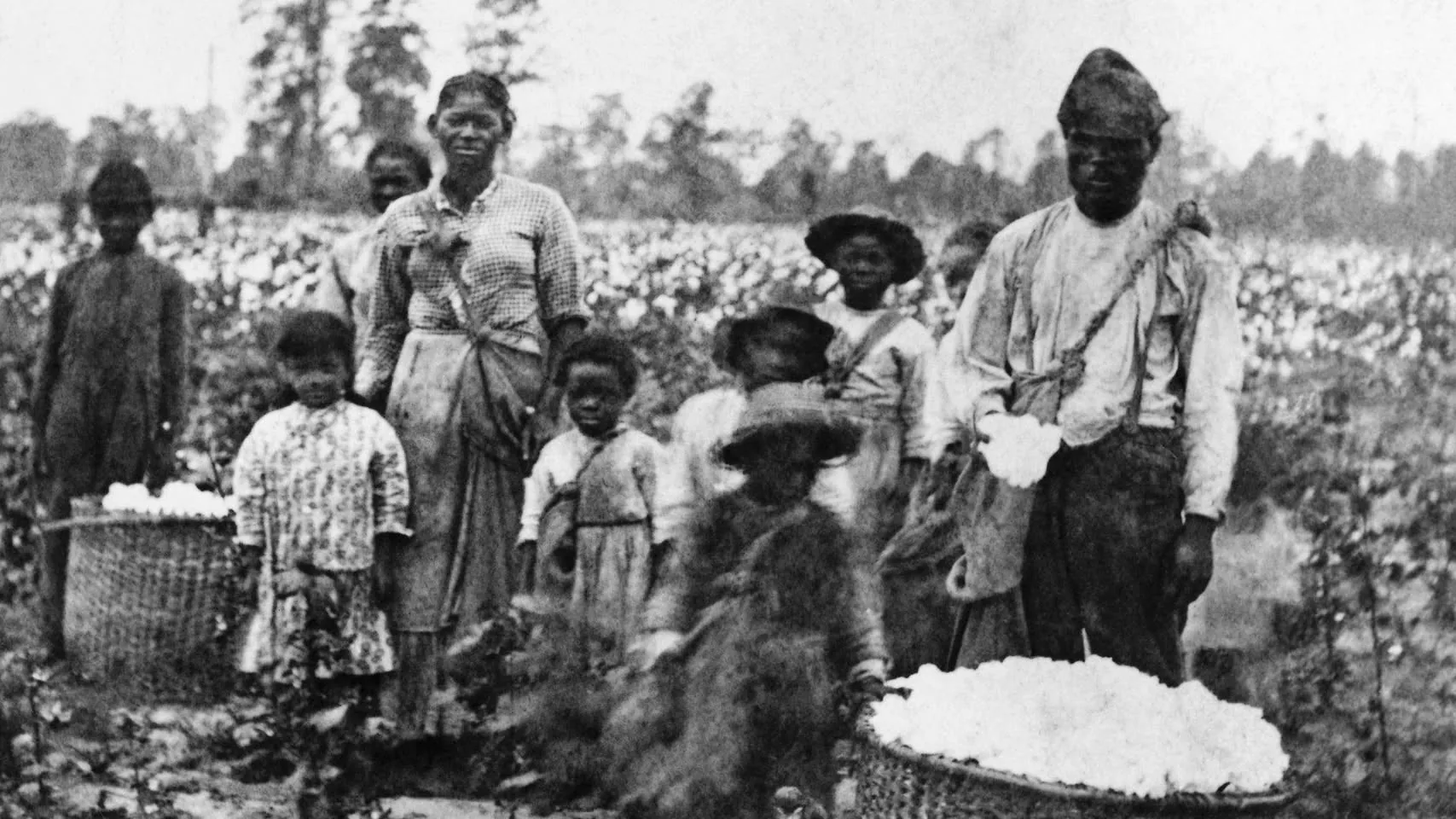 This historical photograph depicts a group of people working in a cotton field. The setting is outdoors, with rows of cotton plants visible in the background, indicating an agricultural environment. The group consists of both adults and children, all dressed in work clothes typical of field laborers. The adults wear shirts and long skirts or pants, and some have head coverings, which might have been used for protection against the sun.
The expressions on their faces are serious, reflecting the hard labor associated with cotton picking during this era. Large baskets filled with cotton are prominently placed in the foreground, emphasizing the task at hand. The overall black-and-white composition of the image suggests it was taken during a period when photography was in its early stages, likely the 19th century.
This image is a stark representation of agricultural labor and provides insight into the historical context of cotton farming, including the involvement of families and children in the workforce. The trees in the distant background create a sense of depth and establish the rural environment where this scene takes place.
