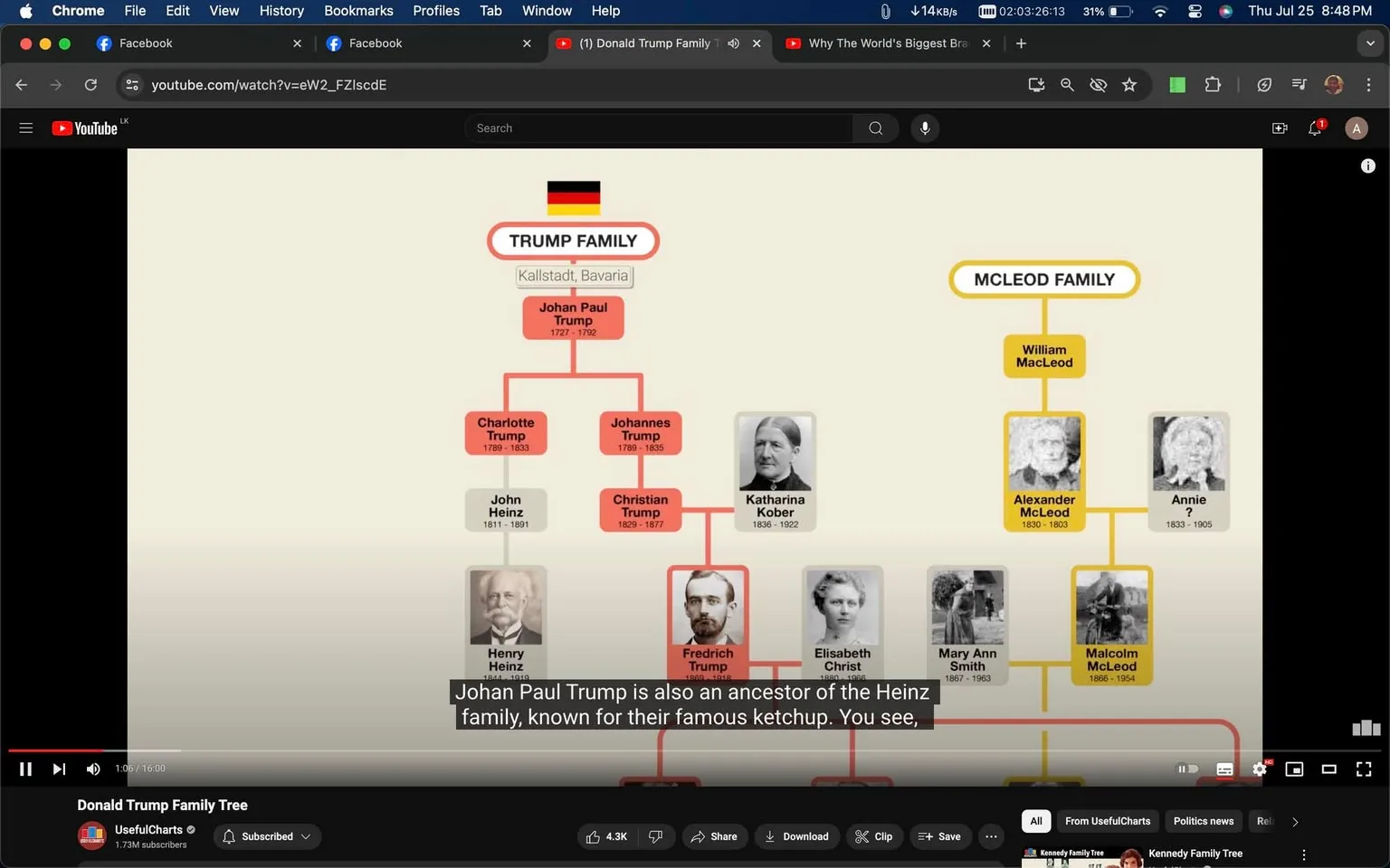 The image is a screenshot from a YouTube video titled "Donald Trump Family Tree," presented by the channel UsefulCharts. The video appears to be educational, focusing on the genealogical connections between the Trump and McLeod families. The family tree diagram is prominently displayed, featuring names and birth-death years of various ancestors, including Johan Paul Trump, Charlotte Trump, and John Heinz. The Trump family section is highlighted in red, while the McLeod family is in yellow.
There is a German flag next to the Trump family, indicating their origins in Kallstadt, Bavaria. The on-screen text mentions the connection of Johan Paul Trump to the Heinz family, famous for their ketchup. The video player interface shows standard controls and engagement metrics, like likes and comments. The visual style is clear, organized, and suitable for an educational context, with a beige background and colored boxes for clarity.