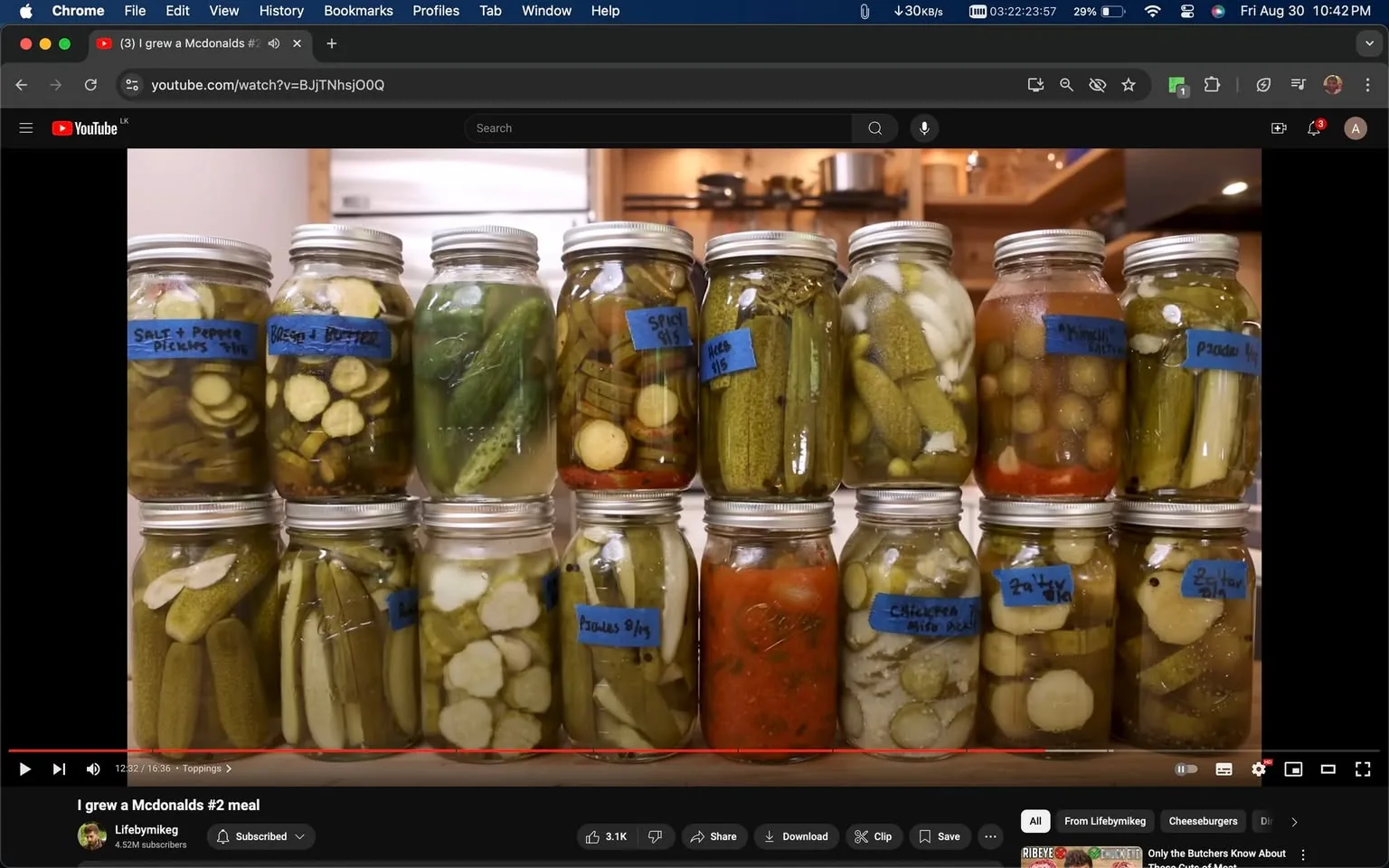 The image captures a scene from a YouTube video titled "I grew a Mcdonalds #2 meal" hosted on the channel Lifebymikeg. In this indoor setting, two rows of mason jars are neatly arranged on a kitchen countertop. Each jar contains a variety of pickled vegetables, showcasing different types of homemade pickles. The jars have blue labels with handwritten descriptions and dates, such as "Salt + Pepper Pickles 7/16," "Blessed + Buttered," and "Kimchi 8/17." The pickles vary in color and type, featuring cucumbers, onions, and other vegetables, some in brine with herbs or spices.
The warm lighting of the kitchen highlights the vibrant colors of the pickles and details of the jars, creating an inviting atmosphere. In the background, various kitchen items such as pots and pans are visible, implying a homey and practical environment. The video seems to focus on food preservation techniques, particularly the art of pickling, as part of a creative culinary project.
- Title: "I grew a Mcdonalds #2 meal"
- Channel / profile: "Lifebymikeg"
- Site / app: "YouTube"