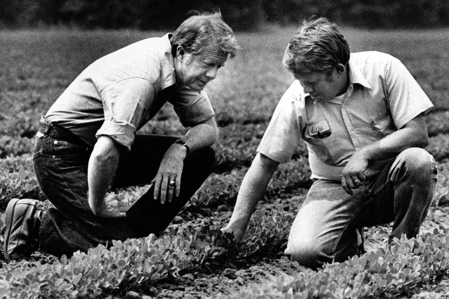 President Jimmy Carter is depicted in an outdoor setting, engaging with a man in a cultivated field. The image is in black and white, highlighting the historical context and adding a timeless quality. Both individuals are kneeling on the ground, closely examining the plants growing in neat rows. President Jimmy Carter, identified through the hint, is wearing a long-sleeved shirt with the sleeves rolled up, paired with jeans, which gives him a casual, approachable appearance. The other man is similarly dressed in casual attire, wearing a short-sleeved shirt with a name tag and jeans.

Their posture suggests a conversation or a shared interest in the agricultural practices being observed. The field extends into the background, indicating a rural or farming location. The interaction captured in the photograph reflects a moment of genuine engagement, possibly highlighting President Carter's connection to farming, given his background prior to his presidency. The mood is focused and earnest, underlining a moment of learning or consultation.
