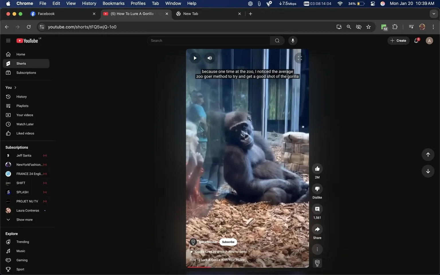 In the video, a gorilla is seated comfortably in a zoo enclosure, surrounded by a naturalistic setting that includes wood chips on the ground and some rocks or logs nearby. The gorilla appears relaxed, leaning back with its arms resting on its legs. Its expression seems curious, possibly observing visitors outside the glass barrier. There are reflections visible on the glass, indicating that people are present, but their faces are not clearly discernible. The background features a structure that suggests an indoor habitat, likely designed to mimic the gorilla's natural environment. 

Text overlays on the video provide context, mentioning an experience at the zoo and discussing methods to capture a good photograph of the gorilla. The overall atmosphere is light-hearted, focusing on the interaction between the animal and the visitors. There are no signs of violence, sexual content, or any brands visible in the scene. The content is suitable for a general audience, emphasizing the charm and appeal of the gorilla in a zoo setting.