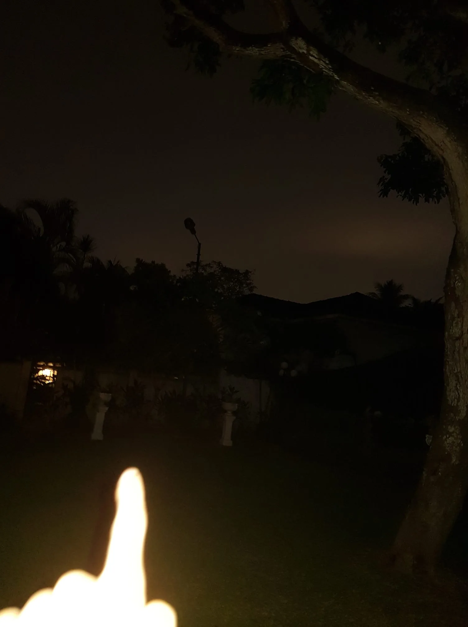 The image depicts a nighttime outdoor scene. In the foreground, a hand is prominently featured, with the index finger pointing upward. The finger appears illuminated, possibly due to a light source nearby. The background is dark, with a few faint outlines of trees and a structure, suggesting a garden or backyard setting.

To the left, there is a soft glow from what seems to be a light fixture, possibly a lamp or lantern, casting a warm light against the dark surroundings. The light source creates a contrast with the overall dimness of the scene. 

In the background, there are several plants and shrubs, which are mostly indistinct due to the low light. A tall pole or post can be seen, with what appears to be a light fixture at the top, although it is not clearly illuminated. The sky is dark, with a few hints of color, indicating the presence of clouds or atmospheric conditions.

The overall ambiance is quiet and somewhat mysterious, typical of a nighttime setting. The focus on the hand pointing suggests an action or direction, but the context of what is being pointed at is not clear from the image. The scene lacks any identifiable text, signs, or logos, and there are no people present aside from the hand. The environment appears to be residential, likely in a suburban area, given the presence of the garden and lighting.