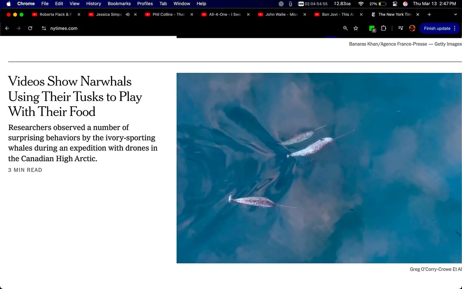 The image is a screenshot of a webpage from The New York Times. The main focus is an article titled "Videos Show Narwhals Using Their Tusks to Play With Their Food." The headline is prominently displayed at the top of the page in a bold font. Below the headline, there is a subheading that reads, "Researchers observed a number of surprising behaviors by the ivory-sporting whales during an expedition with drones in the Canadian High Arctic." This text is in a smaller font size compared to the headline.

To the right of the text, there is an image showing three narwhals swimming in water. The narwhals are identifiable by their long, spiral tusks, which are visible above the water's surface. The water appears to be a deep blue, with some reflections and ripples, indicating movement. The background is somewhat cloudy, suggesting a natural environment.

At the bottom of the image, there is a credit line stating "Greg O’Corry-Crowe Et Al." and "Banaras Khan/Agence France-Presse — Getty Images," indicating the sources of the image.

The top of the webpage features a navigation bar with options like "Home," "World," "U.S.," "Politics," and other sections typical of a news website. There are also visible tabs for bookmarks and a search bar. The overall layout is clean and organized, typical of a news article format.

The surrounding posts, which are not part of the main article, consist of various text snippets that appear to be personal reflections or statements from individuals, discussing feelings of guilt, dependency, and personal experiences. These posts are not directly related to the article about narwhals and seem to be from a different context, possibly a social media or comment section.