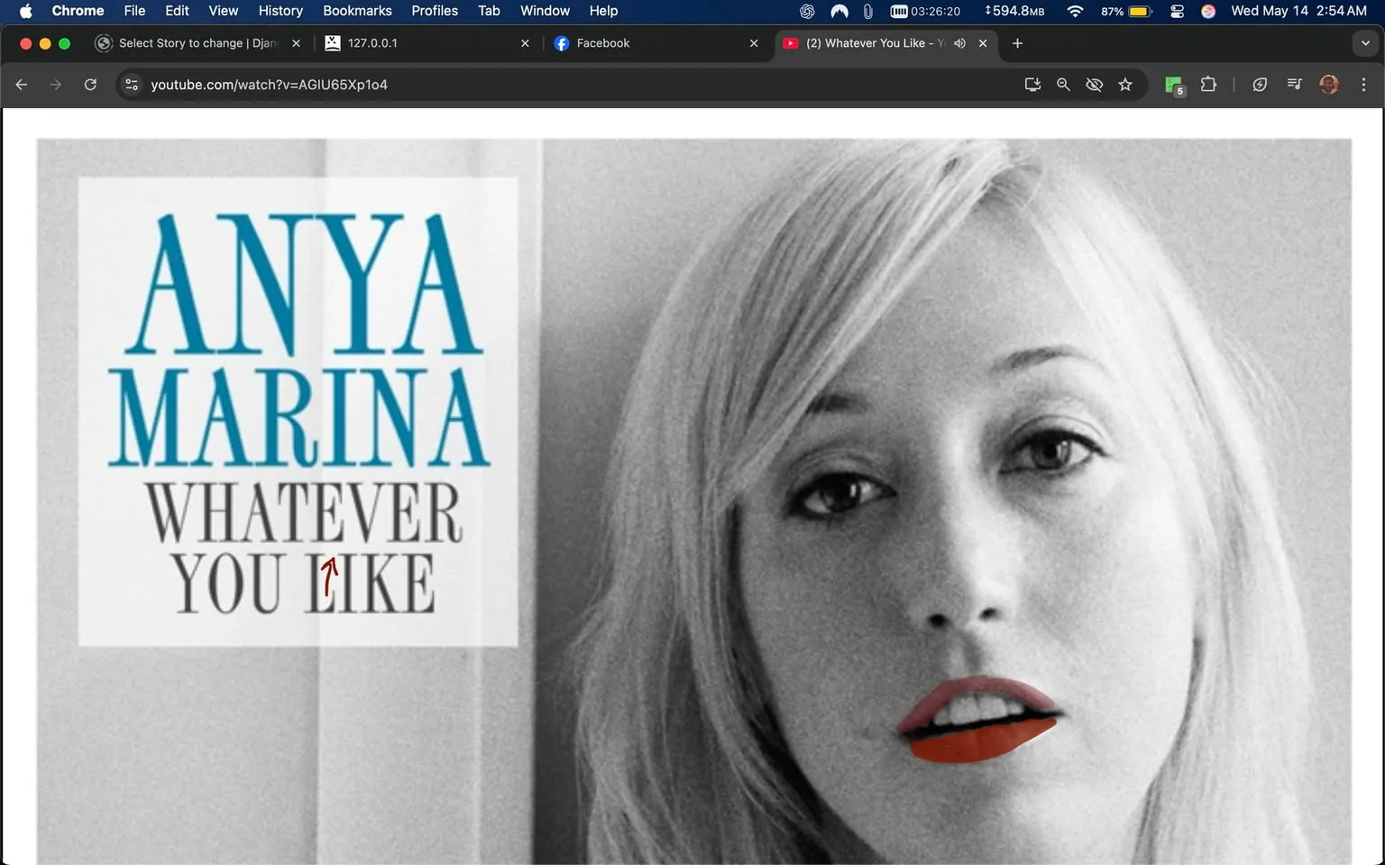 The image features a black-and-white portrait of a woman with light blonde hair, styled straight and falling around her face. She has a neutral expression, gazing directly at the viewer. Her lips are prominently colored in a bright red shade, contrasting with the monochrome tones of the rest of the image. The background appears to be a light-colored wall, providing a subtle backdrop that emphasizes the subject's face.

To the left of the woman's face, there is text that reads "ANYA MARINA" in bold, turquoise letters. Below this, the phrase "WHATEVER YOU LIKE" is displayed in a combination of gray and black font, with "YOU" in a slightly darker shade. The text is centered and framed within a white rectangular box, which stands out against the background.

The overall composition is clean and minimalistic, focusing on the woman's face and the text. There are no additional objects, logos, or brands visible in the image. The lighting is soft, contributing to the overall aesthetic of the portrait. The image appears to be promotional in nature, likely related to music or an artistic project associated with the name "Anya Marina."