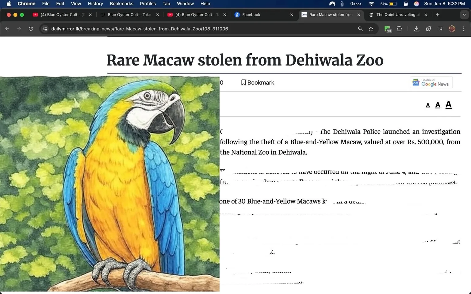 The image displays a webpage from the Daily Mirror, dated June 8, 2025, with the headline "Rare Macaw stolen from Dehiwala Zoo." The article discusses the theft of a Blue-and-Yellow Macaw valued at over Rs. 500,000 from the National Zoo in Dehiwala. 

The article begins with a brief introduction, mentioning that the Dehiwala Police have launched an investigation following the theft. It states that the incident likely occurred on the night of June 4, with CCTV footage capturing a suspected thief near the zoo premises. 

A photograph accompanies the article, featuring a Blue-and-Yellow Macaw perched on a branch. The bird has vibrant blue feathers on its wings and a bright yellow belly, with a distinct facial pattern that includes a gray beak and white patches around its eyes. The background of the image shows green foliage, indicating a natural habitat setting.

The text continues to explain that the bird was one of 30 Blue-and-Yellow Macaws kept in a dedicated enclosure. It notes that the theft was discovered when the zookeeper found the lock on the cage tampered with. A subsequent check confirmed the bird was missing, prompting the zoo administration to file a formal complaint with the police.

The article also references a previous incident from August 8, 2021, when another Blue-and-Yellow Macaw from the same enclosure was reported missing and later recovered from a residence in Ratmalana.

The webpage includes standard web elements such as a date and time stamp, view count, and options for bookmarking. The layout features a clean design with a focus on the article's content, and the image of the macaw is prominently displayed alongside the text. 

Overall, the image captures a news article focused on a specific incident involving wildlife theft, with clear details about the event and the subject matter.