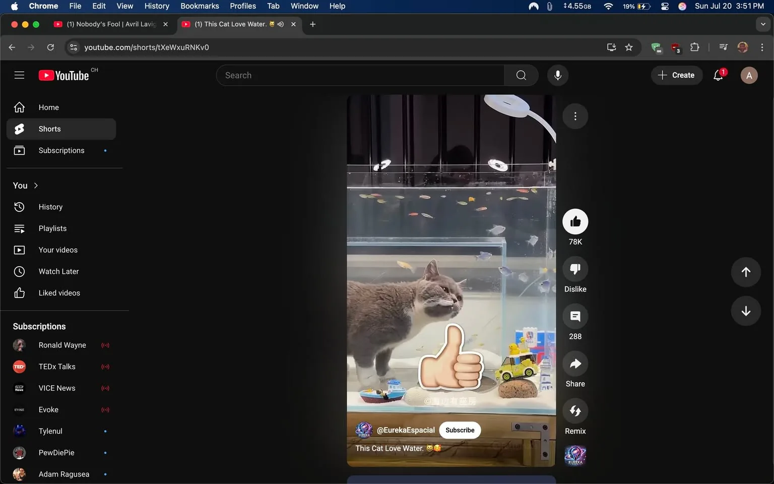 The image shows a short video interface from YouTube, featuring a gray cat standing in a transparent aquarium filled with water. The cat appears curious, with its head slightly tilted and a focused expression, as it looks at the colorful fish swimming around. The aquarium has various small decorations, including a yellow toy car and some rocks at the bottom.

In the foreground, there is a large thumbs-up emoji, suggesting a positive reaction to the content. The text overlay reads "@EurekaEspacial" and "This Cat Love Water," indicating the creator's username and the video's title. The background is dark, typical of YouTube's interface, with a sidebar displaying options like "Home," "Shorts," and "Subscriptions." The video has garnered 78K likes and 288 comments, reflecting its popularity.

The overall mood of the image is light-hearted and playful, emphasizing the cat's interaction with water and its environment. The cat's body language suggests curiosity and engagement, inviting viewers to share in the experience.