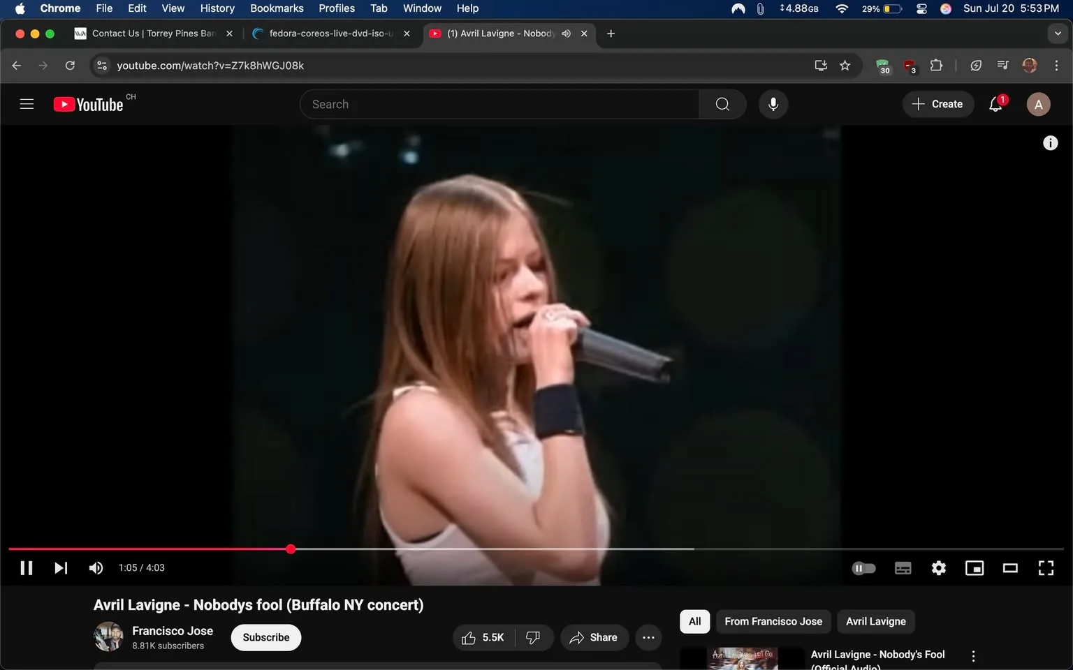 The image captures a moment from a live concert performance, featuring a young female singer passionately engaged in her music. She has long, straight hair that falls around her shoulders, framing her face as she leans slightly forward, fully immersed in her performance. The singer is holding a microphone close to her mouth, indicating she is in the midst of singing.

She is dressed in a simple yet stylish outfit—a sleeveless white top that highlights her youthful energy, paired with a black wristband on her left arm, adding a touch of rock-inspired flair. The background is dark, with soft, blurred lights that create a moody atmosphere, enhancing the focus on her. The lighting seems to be designed to spotlight her, emphasizing her presence on stage.

The singer's expression conveys a mix of concentration and emotion, suggesting she is deeply connected to the song she is performing. This connection is palpable, as her body language indicates she is not just singing but also expressing the feelings and themes of the music. The audience, though not visible in this frame, can be imagined to be captivated by her performance, likely swaying or cheering in response to her energy.

The video is titled "Avril Lavigne - Nobody's Fool (Buffalo NY concert)," indicating that this performance is part of a live concert by Avril Lavigne, a well-known pop-punk artist. This context adds layers to the image, as it evokes nostalgia for fans who remember her early music and the impact she had on the early 2000s music scene. The title suggests themes of individuality and resilience, which are often present in her lyrics.

Overall, the image encapsulates the essence of a live music experience—raw, energetic, and emotionally charged. It invites viewers to feel the excitement of being part of a concert, where the artist and audience share a moment of connection through music. The visual elements, combined with the context of the performance, create a vivid snapshot of a significant moment in a young artist's career.