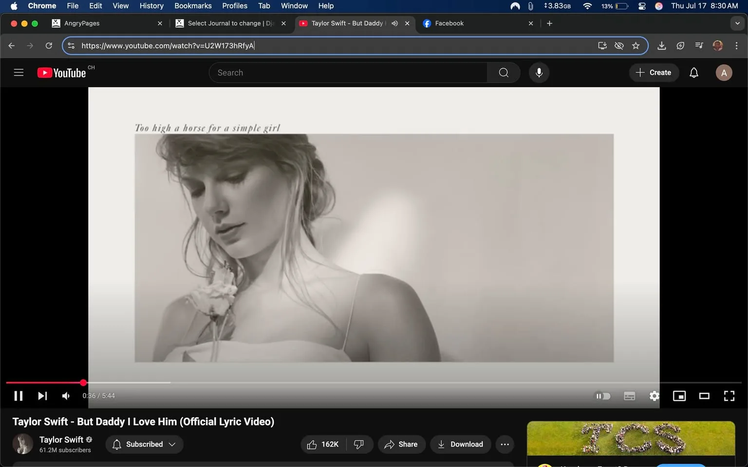 The image captures a moment from a YouTube lyric video for the song "But Daddy I Love Him" by Taylor Swift. The video features a soft, monochromatic aesthetic, primarily in shades of gray and white, which lends a dreamy, nostalgic quality to the visuals.

In the foreground, there is a close-up of a woman with long, flowing hair, gently cascading over her shoulders. She appears to be lost in thought, her expression serene and contemplative. The delicate features of her face are highlighted, and she has a subtle smile, suggesting a mix of tenderness and introspection. She is dressed in a simple, elegant outfit that appears to be a light-colored dress, possibly with thin straps, which adds to the ethereal feel of the image.

In her hand, she holds a small flower, which she seems to be admiring. This detail enhances the overall softness of the scene and may symbolize innocence or love, aligning with the song's themes. The background is blurred, focusing attention on her and creating a sense of intimacy.

Above her, there is a text overlay that reads, "Too high a horse for a simple girl," which hints at the song's narrative and emotional depth. This phrase suggests themes of longing, aspiration, and perhaps the complexities of love, resonating with the song's title and likely its lyrical content.

The bottom of the image features the YouTube interface, indicating that this is a lyric video. The video has a play button, a progress bar showing that it is 36 seconds into a total length of 5 minutes and 44 seconds, and viewer engagement stats, including 162,000 likes. The channel name, "Taylor Swift," is prominently displayed, along with the subscriber count of 61.2 million, emphasizing her popularity and the reach of her music.

The overall tone of the image is soft and reflective, evoking feelings of nostalgia and romance. The combination of the visual elements, the serene expression of the woman, and the lyrical hint creates an atmosphere that invites viewers to connect emotionally with the song's themes. The aesthetic choices—monochromatic colors, gentle expressions, and delicate imagery—convey a sense of vulnerability and beauty, characteristic of Taylor Swift's artistic style. 

In summary, this image encapsulates a moment of introspection and emotional depth, inviting viewers to engage with the song's narrative while showcasing the artistry of Taylor Swift.