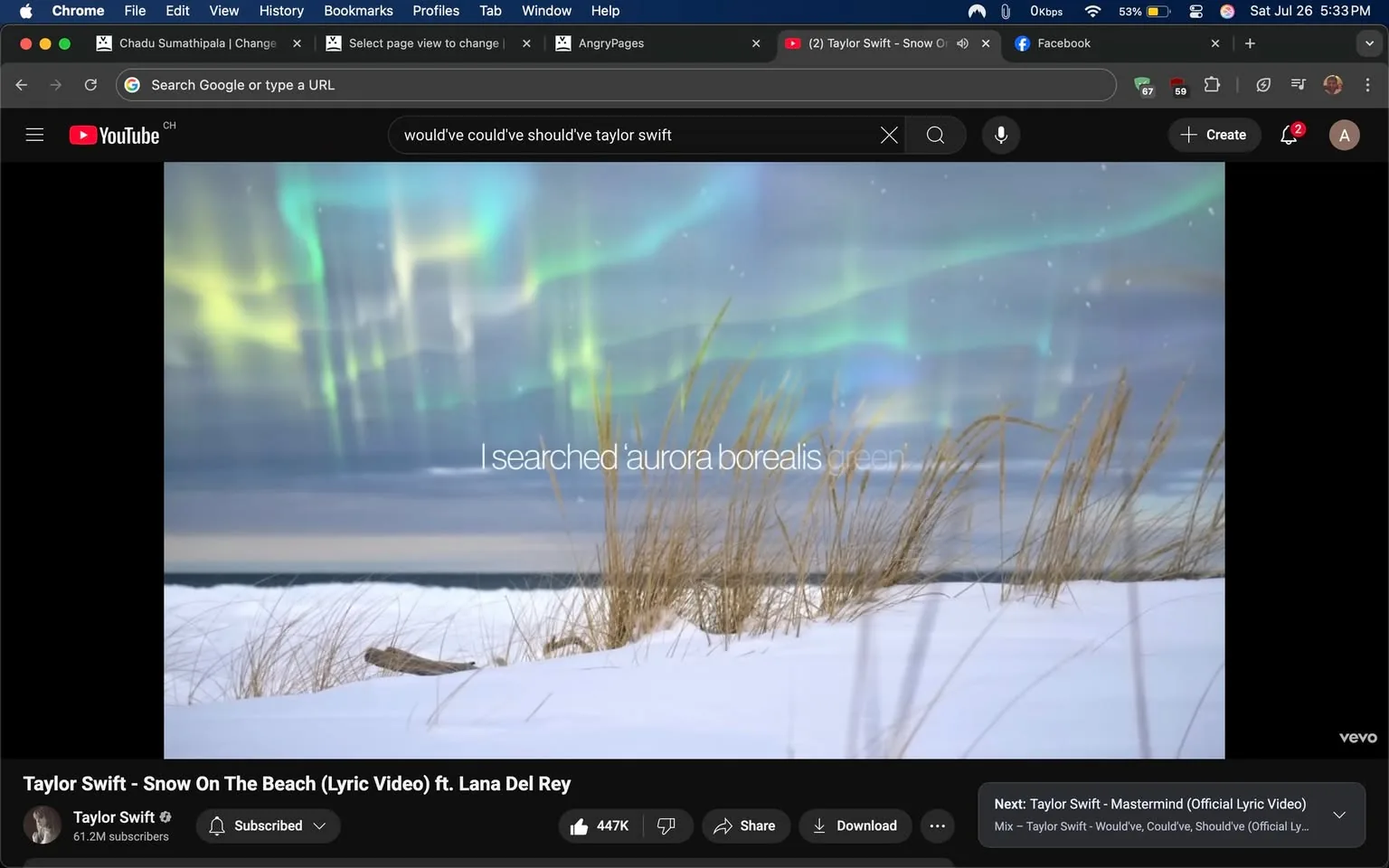 The image captures a serene and visually stunning scene, likely from a lyric video for a song titled "Snow On The Beach" by Taylor Swift, featuring Lana Del Rey. The backdrop is dominated by a breathtaking display of the aurora borealis, with vibrant shades of green, blue, and hints of purple swirling across the sky. This natural phenomenon creates a magical atmosphere, evoking feelings of wonder and tranquility.

In the foreground, a snowy landscape stretches out, blanketed in soft, white snow that glistens under the ethereal light of the auroras. Sparse tufts of grass peek through the snow, adding a touch of life to the otherwise stark winter scene. The contrast between the bright colors of the auroras and the muted whites and browns of the snow and grass creates a captivating visual balance.

Superimposed on this picturesque setting is a line of text that reads, "I searched 'aurora borealis green'," which adds a personal touch to the image. This phrase suggests a sense of curiosity and longing, as if the speaker is on a quest for beauty and inspiration, perfectly aligning with the themes often explored in Swift's music.

The branding at the bottom indicates that this is a lyric video from Taylor Swift's official YouTube channel, which has a significant following, as evidenced by the subscriber count displayed. The overall tone of the image is reflective and dreamlike, inviting viewers to immerse themselves in the beauty of nature while contemplating the deeper meanings behind the lyrics.

The combination of the aurora borealis and the snowy landscape creates a sense of peace and introspection, making it an ideal visual representation for a song that likely explores themes of love, longing, and the beauty of fleeting moments. The image captures a moment in time that feels both intimate and expansive, encouraging viewers to reflect on their own experiences and emotions.