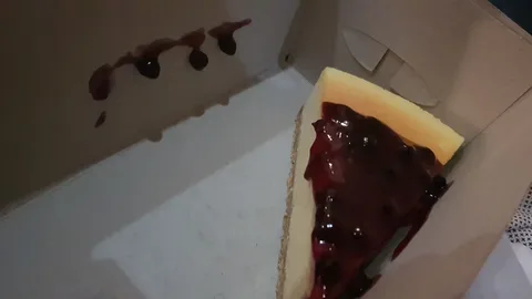 Blueberry Cheesecake Treat