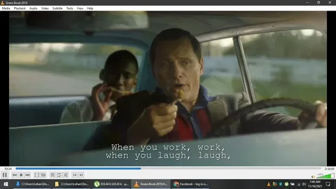 Thathi Quote, Green Book: The Real Cost