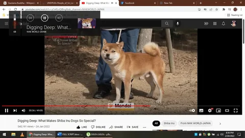 1) Rich description: The image is a screenshot from a YouTube video titled "Digging Deep: What Makes Shiba Inu Dogs So Special?" by NHK WORLD-JAPAN. The scene features a Shiba Inu dog standing outdoors on a dirt path, looking alert and slightly to the side. The dog has a typical Shiba Inu appearance, with a reddish-brown coat, curled tail, and erect ears. A person is standing behind and holding the dog on a leash, though only the person's lower legs are visible, wearing blue jeans and black shoes. The background consists of a natural setting with trees and scattered leaves. The lighting is bright, suggesting a daytime setting. On-screen text includes the video's title and a label reading "Mandai," possibly identifying the dog's name or location.
2) On-screen text block:
- Title: "Digging Deep: What Makes Shiba Inu Dogs So Special?"
- Channel / profile: "NHK WORLD-JAPAN"
- Site / app: "YouTube"