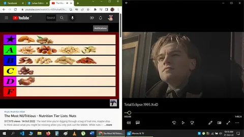 The image is a split-screen screenshot. On the left side, there's a YouTube video titled "The Most NUTritious - Nutrition Tier Lists: Nuts." The video thumbnail shows a tier list with various nuts categorized from a star tier down to an F tier. The nuts are visually arranged with images of almonds, walnuts, cashews, and others placed in designated tiers, indicating a ranking based on nutritional value or preference. The video's views and upload date are also visible, showing it has 317,975 views and was uploaded on October 14, 2022. The YouTube interface includes typical elements like navigation bars and a profile icon.
On the right side, there is a scene from the movie "Total Eclipse," showing a young individual gazing intently with a serious expression. The scene is likely set outdoors, as suggested by the lighting and background. The video player interface is visible, displaying a timestamp at 3:06 and a total length of 1:48:24. The contrasting themes of the nutritional tier list and a dramatic film moment create an interesting juxtaposition. The user seems to be multitasking between browsing nutritional content and watching a historical drama film.