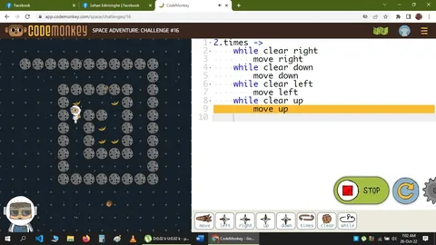 Chocolate Cake, CodeMonkey Win